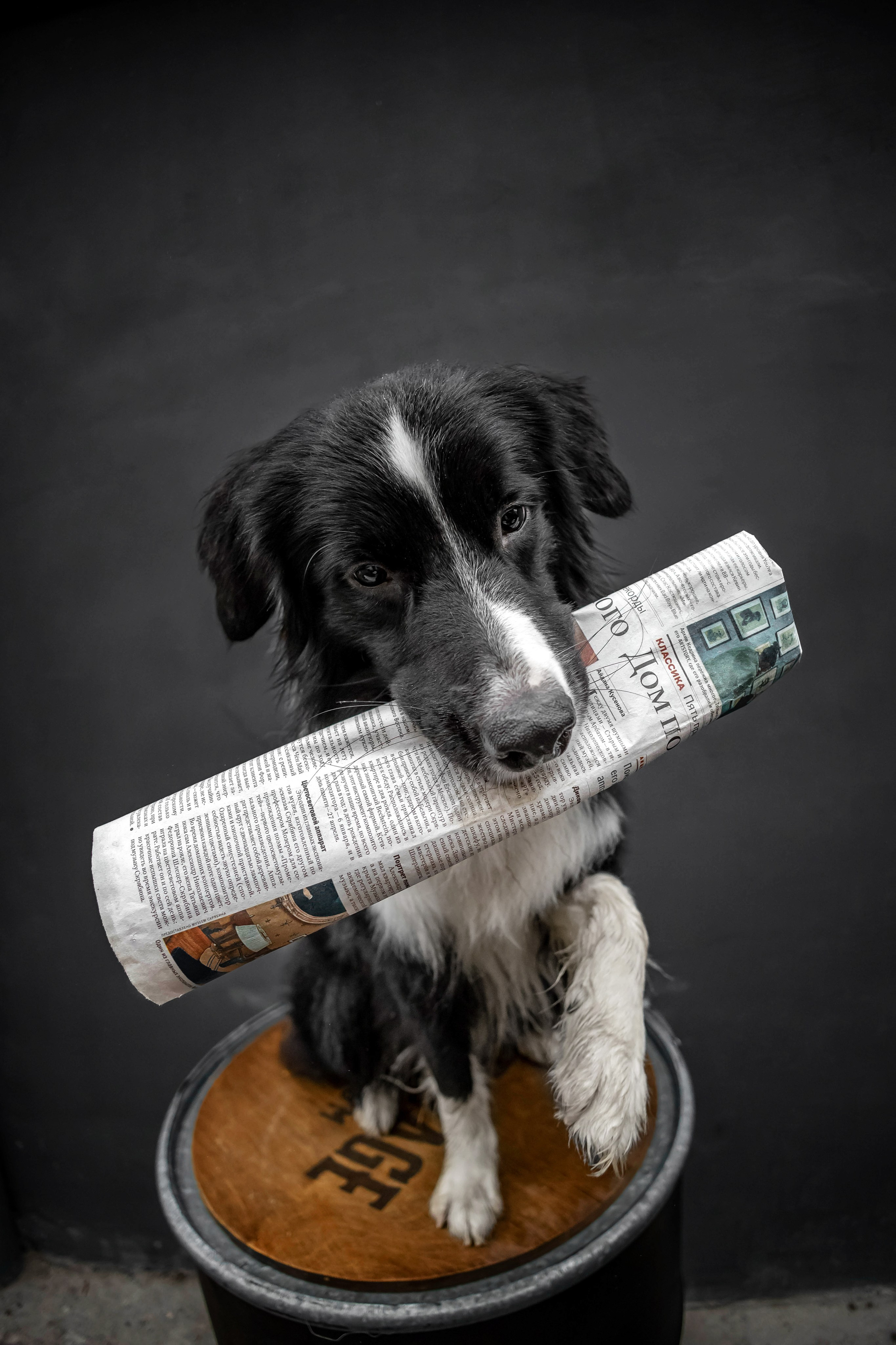 Мария и Пампкин. Https://moshkovaphoto.ru/