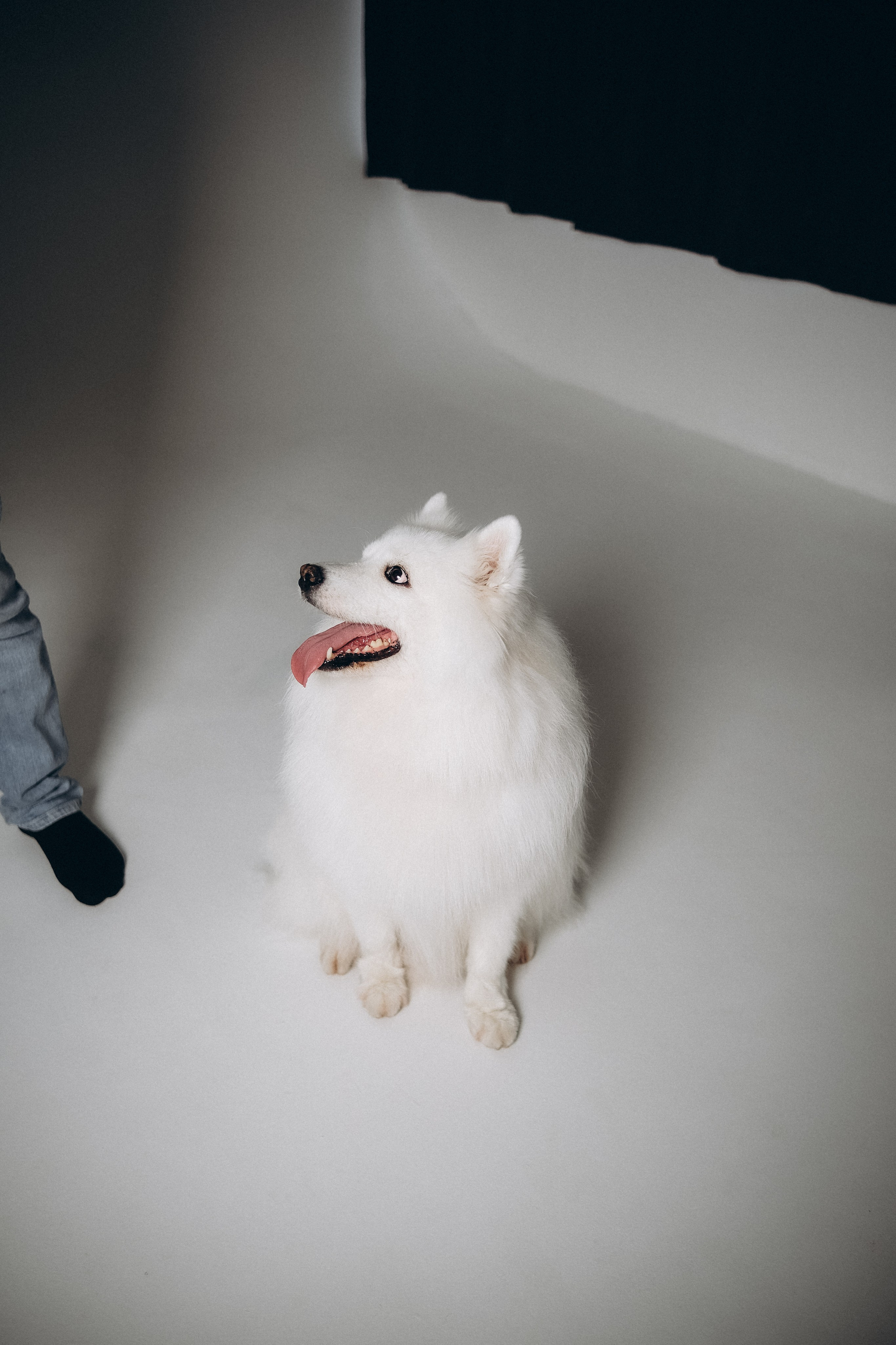 Катя & Андрей. Phdkvmr.ru