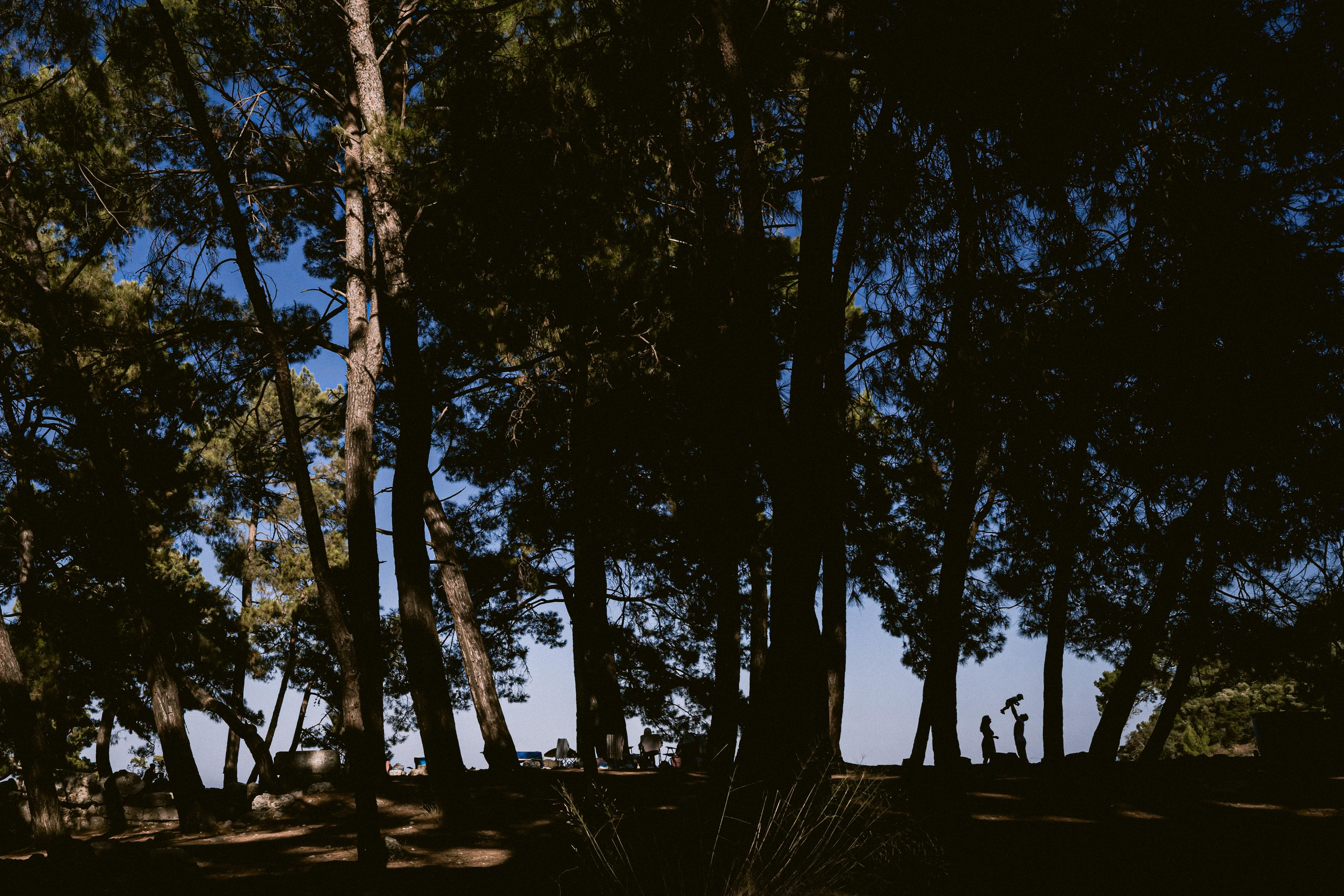 Sour strawberries in Phaselis. Kemer. Wedding & Documentary Photographer based in Nuremberg — available across Europe & Turkey | Vitalii Nasonov