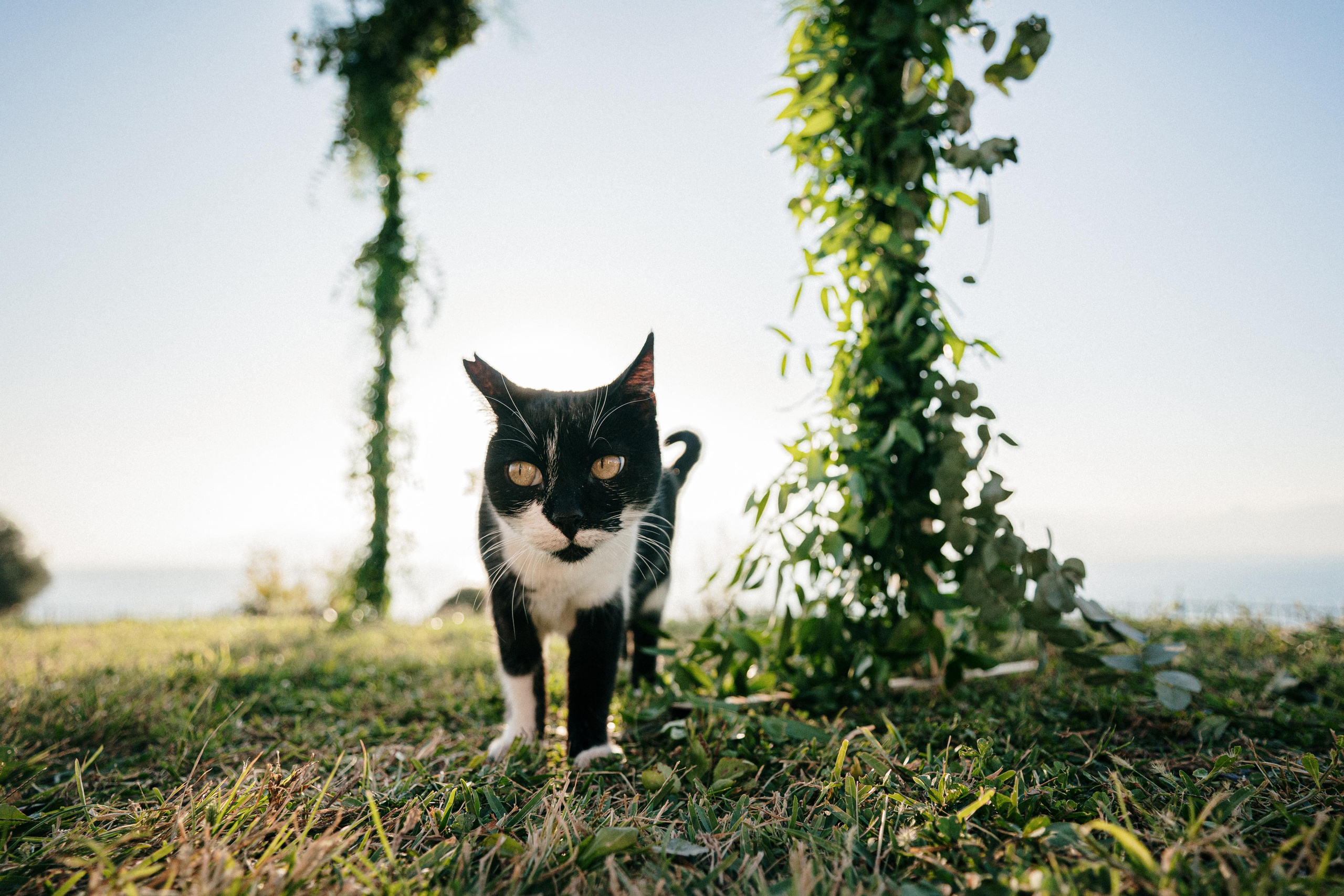 Streets of Antalya. Wedding & Documentary Photographer based in Nuremberg — available across Europe & Turkey | Vitalii Nasonov