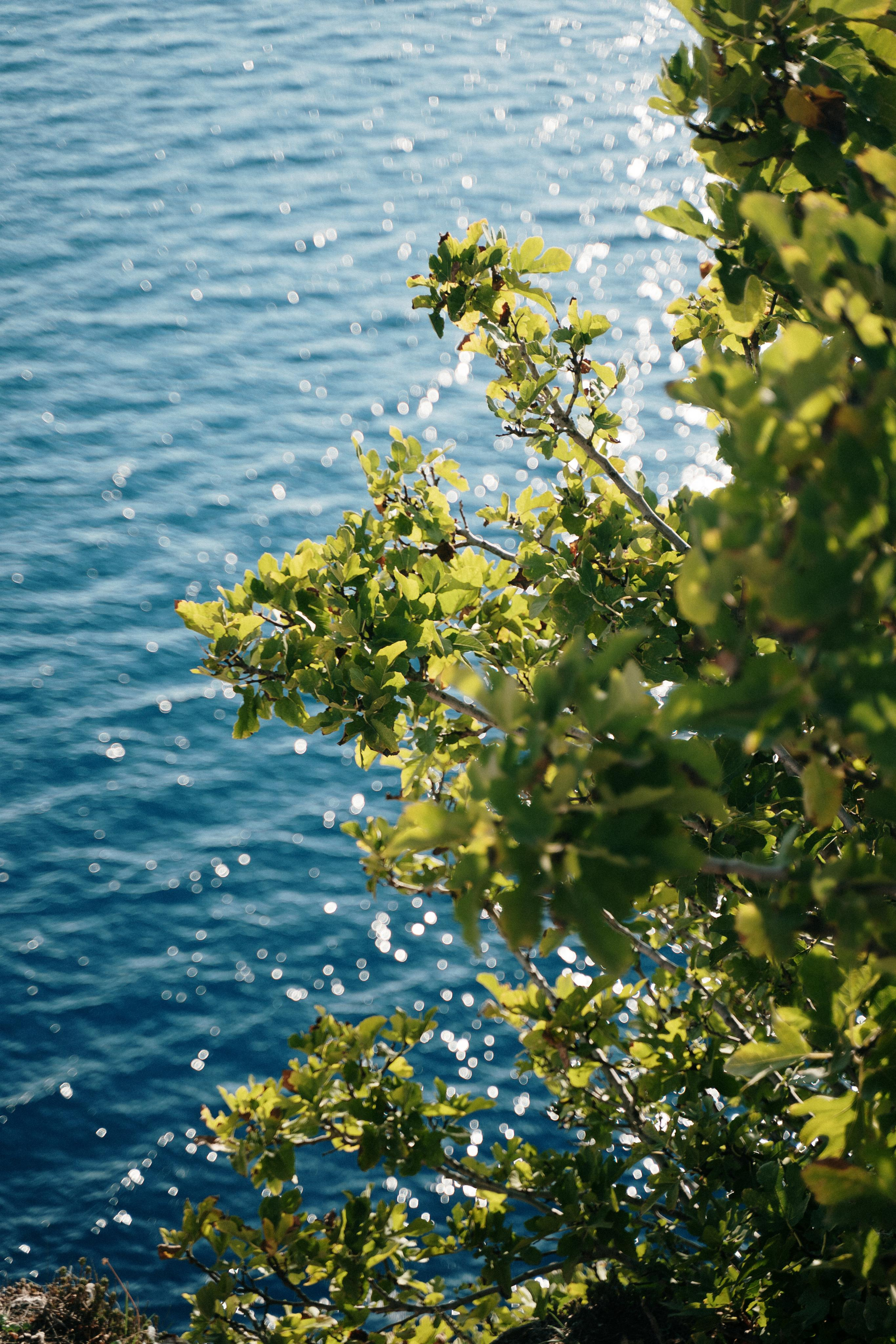 Streets of Antalya. Wedding & Documentary Photographer based in Nuremberg — available across Europe & Turkey | Vitalii Nasonov