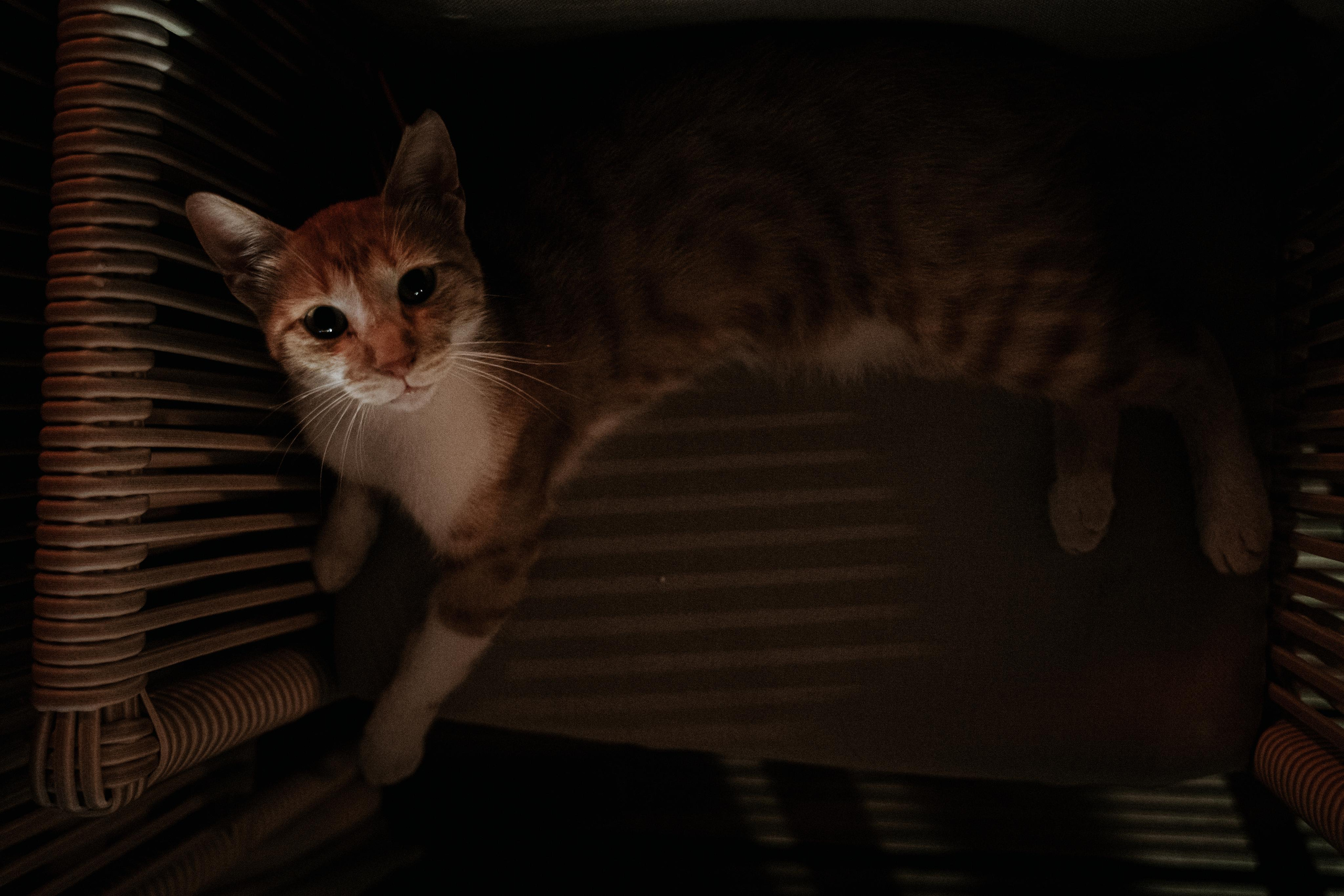 Kaş in Love. Wedding & Documentary Photographer based in Nuremberg — available across Europe & Turkey | Vitalii Nasonov