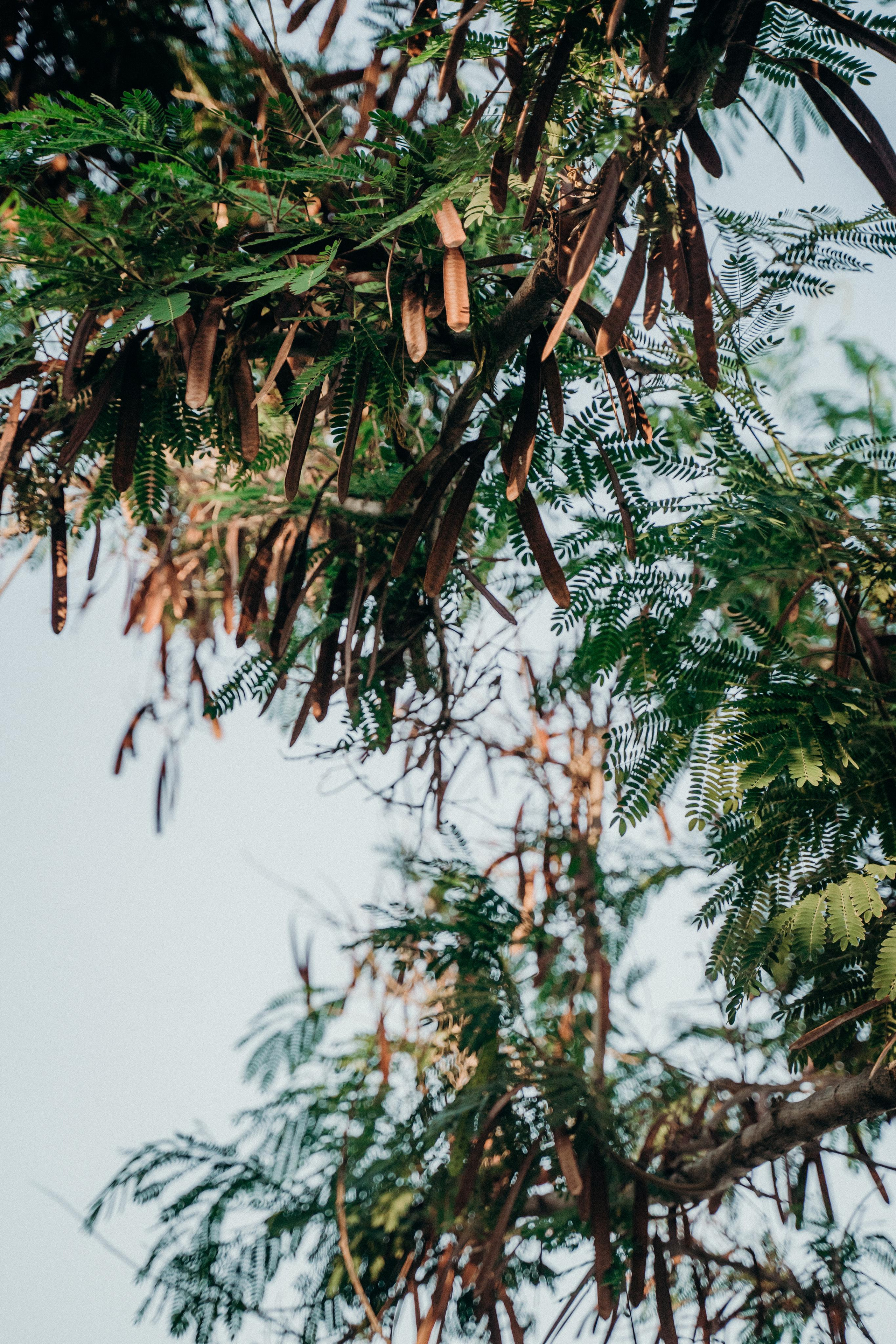 Its a Girl!. Wedding & Documentary Photographer based in Nuremberg — available across Europe & Turkey | Vitalii Nasonov