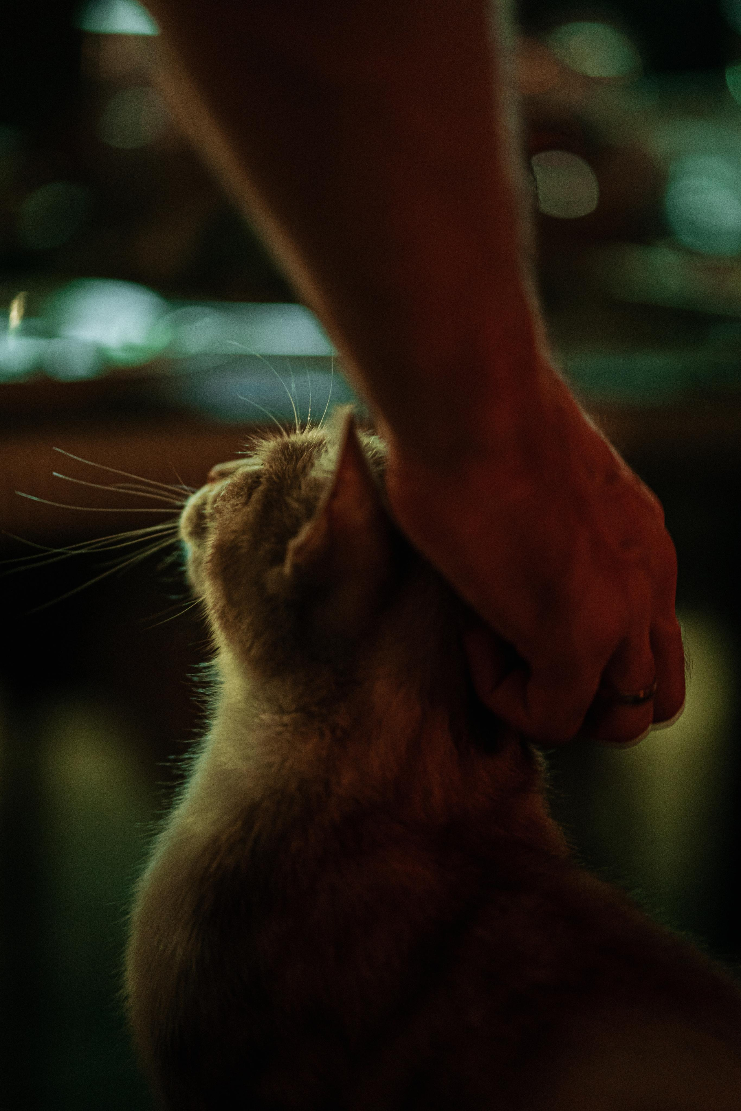 Kaş in Love. Wedding & Documentary Photographer based in Nuremberg — available across Europe & Turkey | Vitalii Nasonov