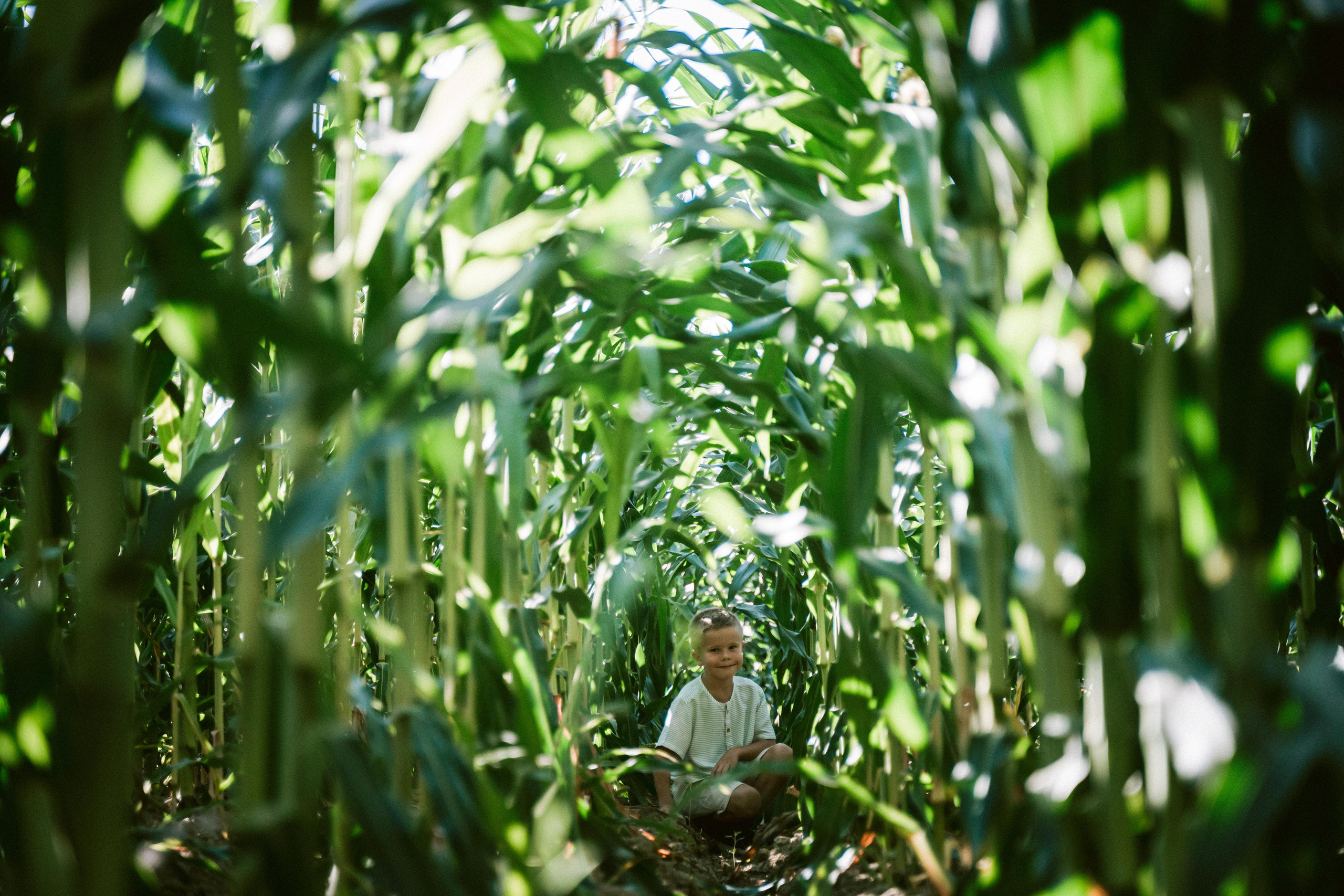 Corn field and Eagle Canyon. Antalya. Wedding & Documentary Photographer based in Nuremberg — available across Europe & Turkey | Vitalii Nasonov