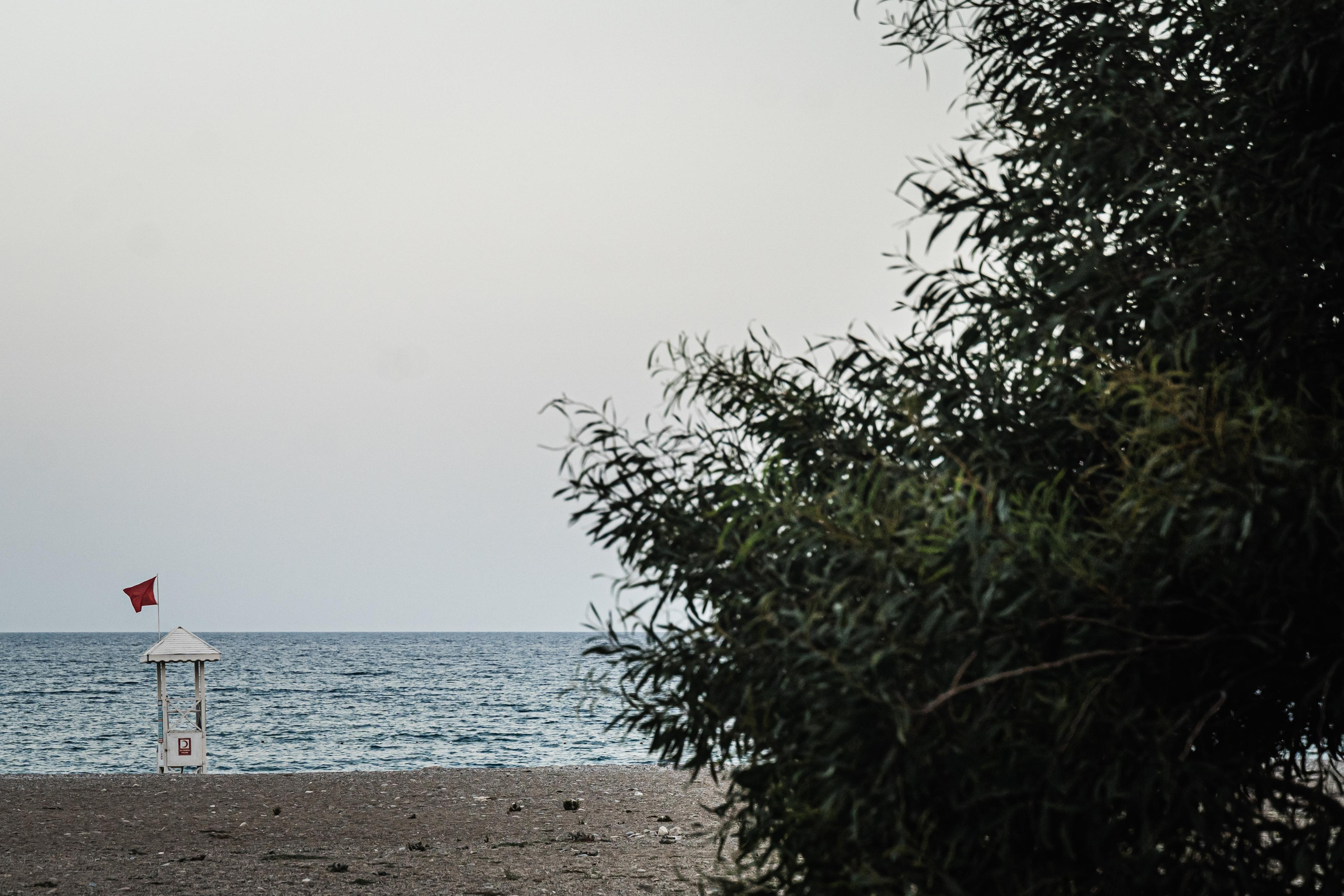 Hearts of four. Wedding & Documentary Photographer based in Nuremberg — available across Europe & Turkey | Vitalii Nasonov