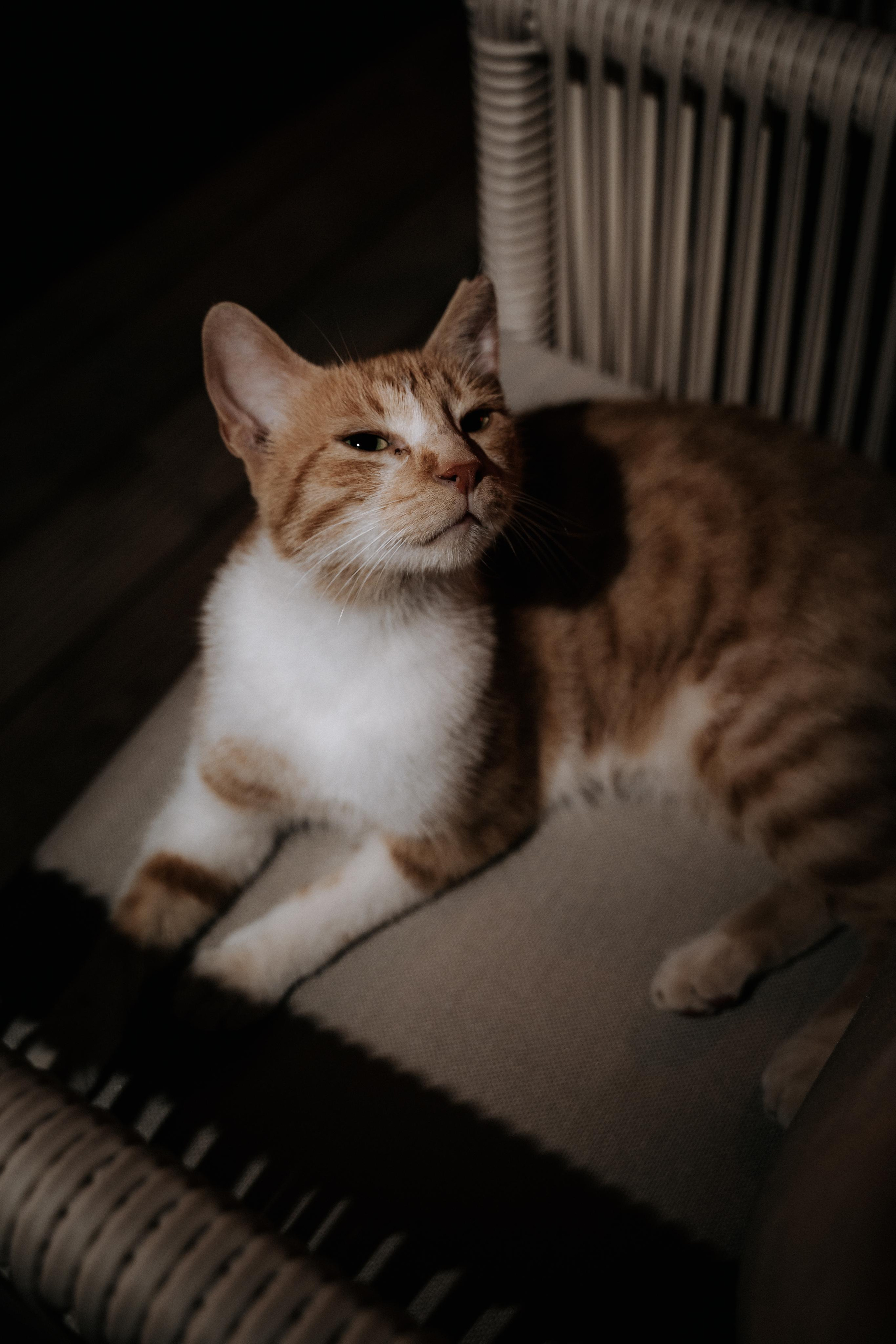 Kaş in Love. Wedding & Documentary Photographer based in Nuremberg — available across Europe & Turkey | Vitalii Nasonov