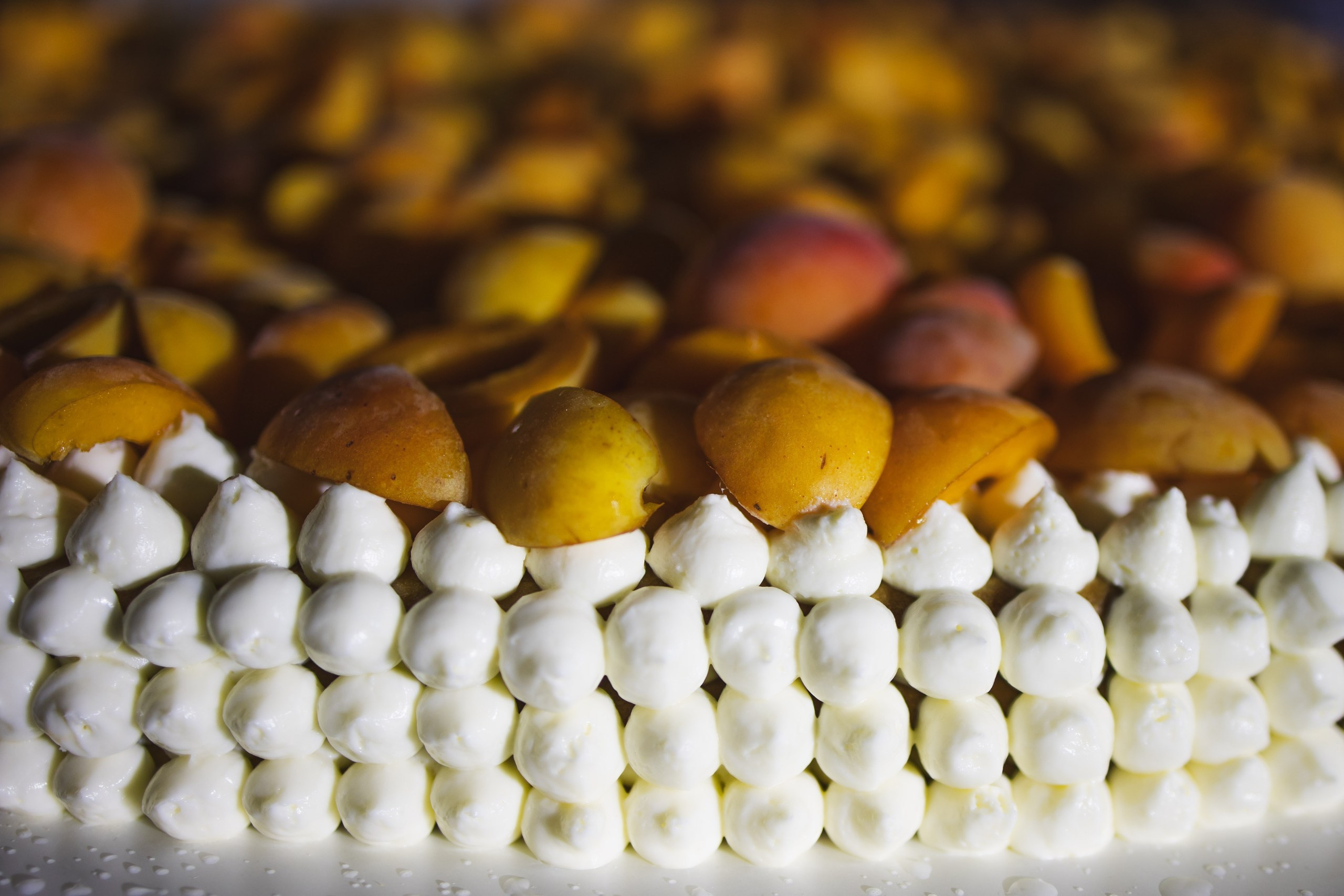 Женя и Лилия. Профессиональная видео и фото съёмка в Калуге и области