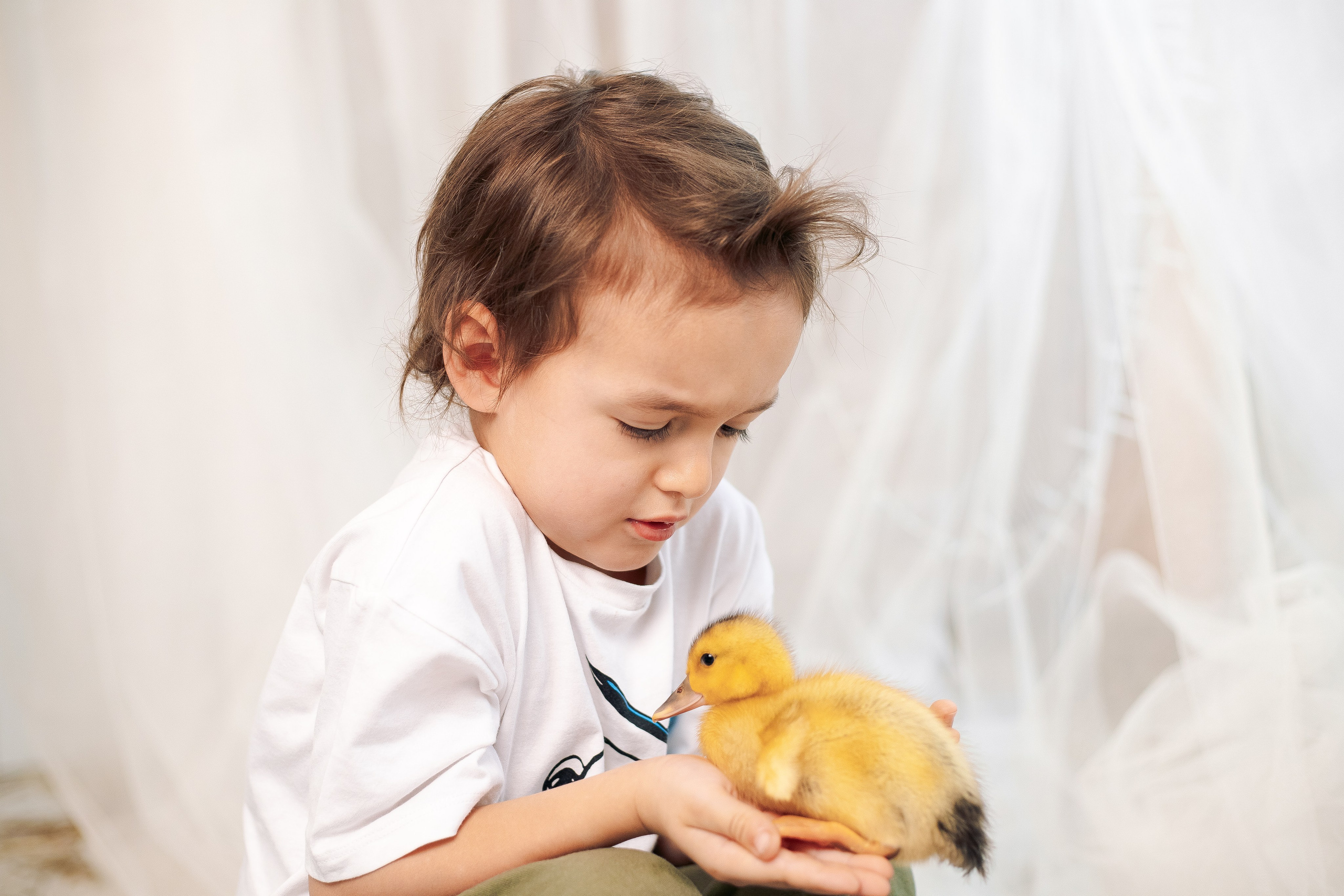 Семейная пасхальная фотосессия в студии Daily. Фотограф в Санкт-Петербурге, Анна Скворцова