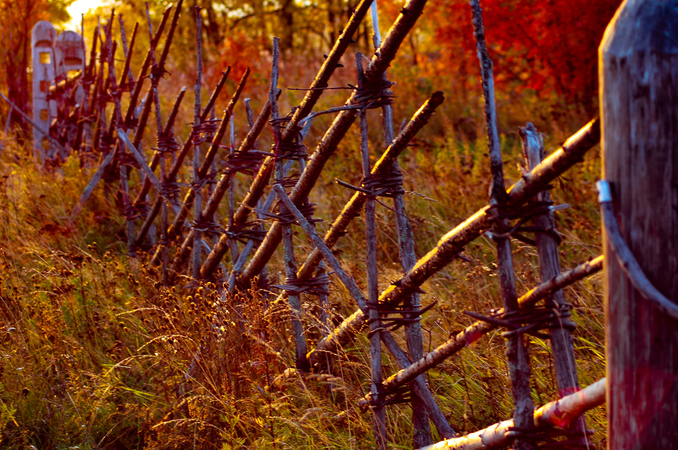 Закаты и рассветы. Московский фотограф Дмитрий Потапов