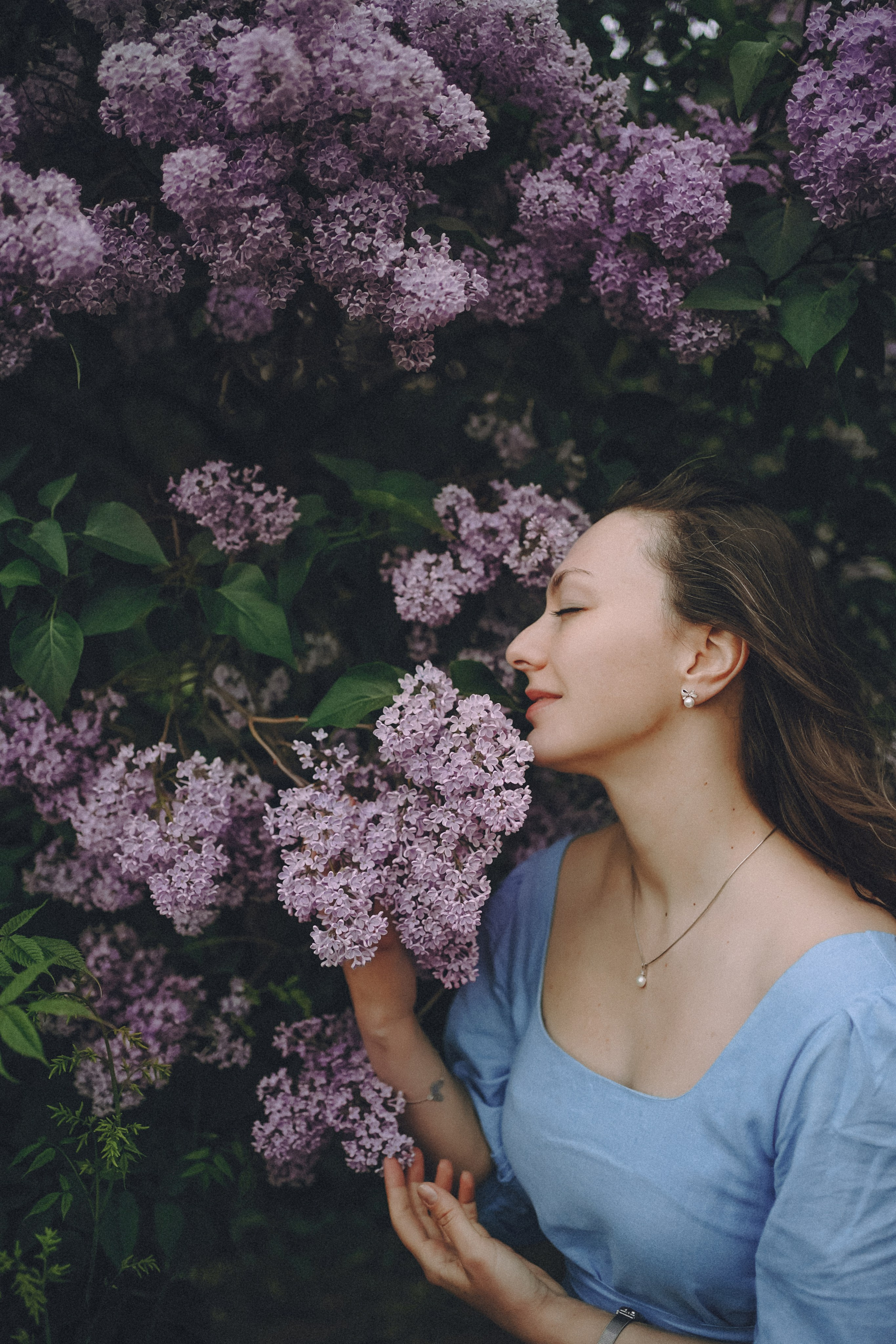 Сиреневый сон. Фотограф Наталья Колганова