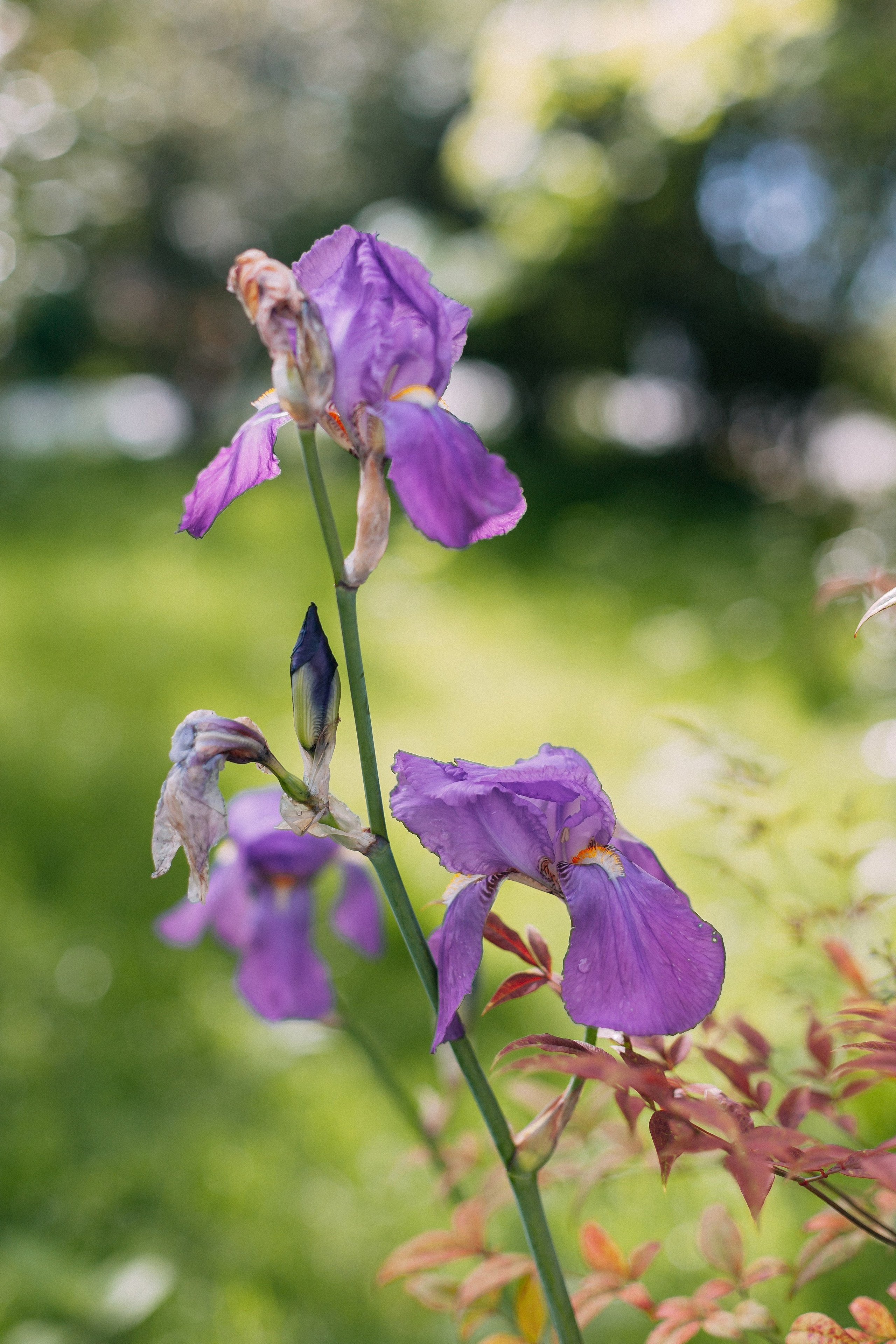 Сочи. Аня Степанова