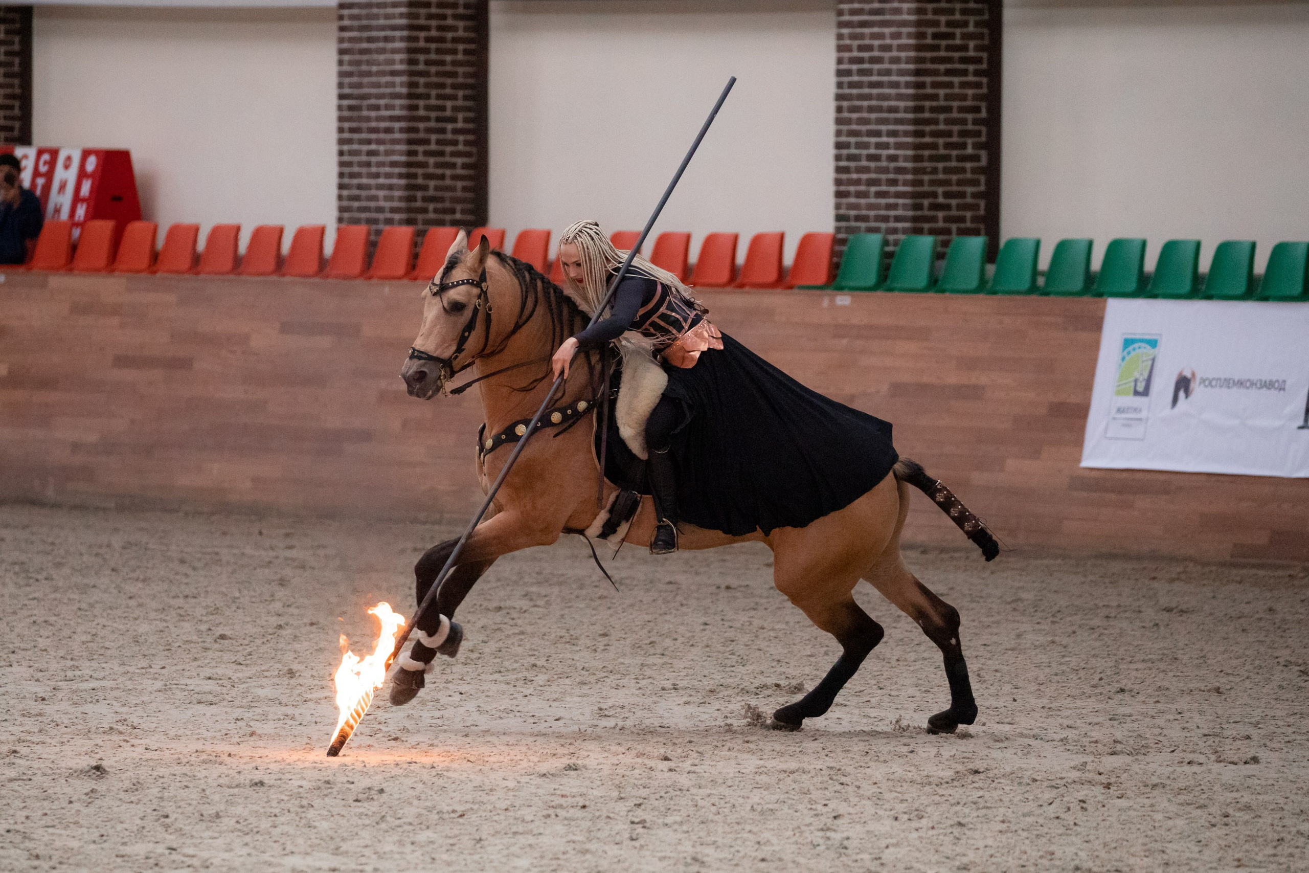 Конные выставки. Mrs.Aquarelia Конный фотограф Марианна Леонтьева