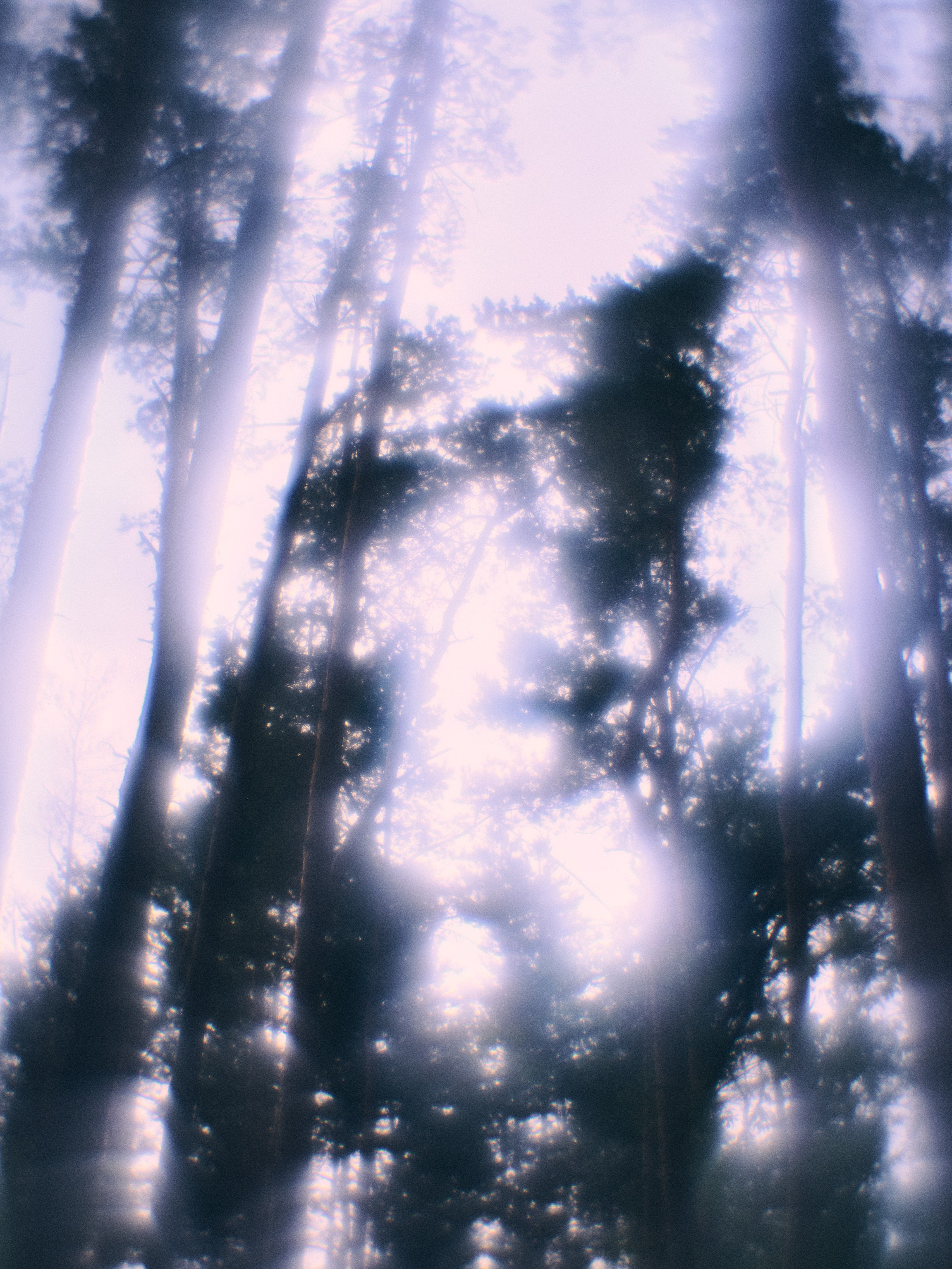 Фотограф Юлия Глазкова