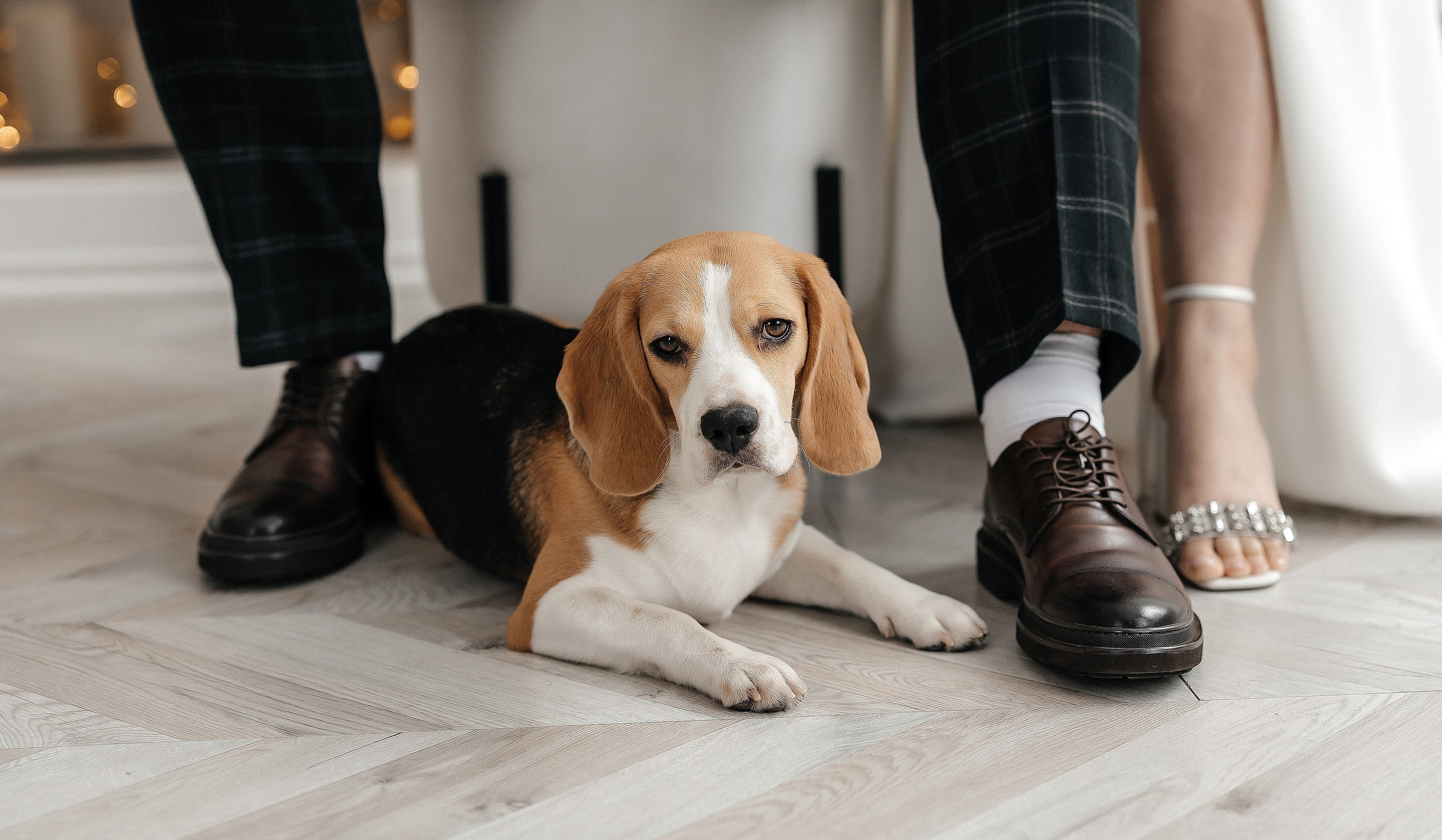 Марина & Максим | 13.01.24. Свадебный и семейный фотограф в Омске Евгения Хакимова