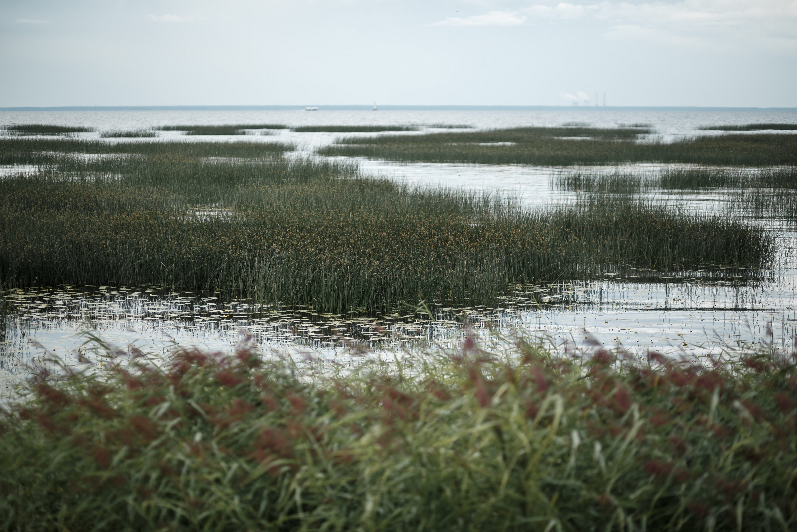 Венчание. Свадебный фотограф Игорь Брундасов 8PHOTO на свадьбу венчание загс СПб