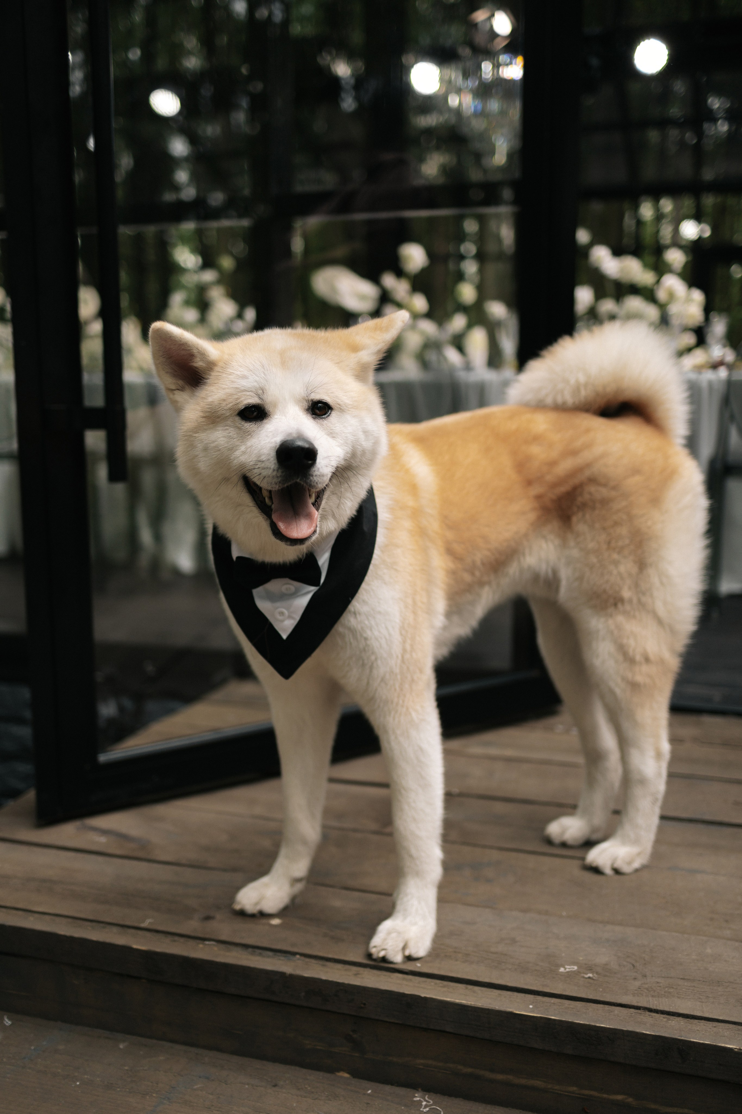 Дарья и Никита. Свадебный фотограф Москва Мотеюнайте Виктория