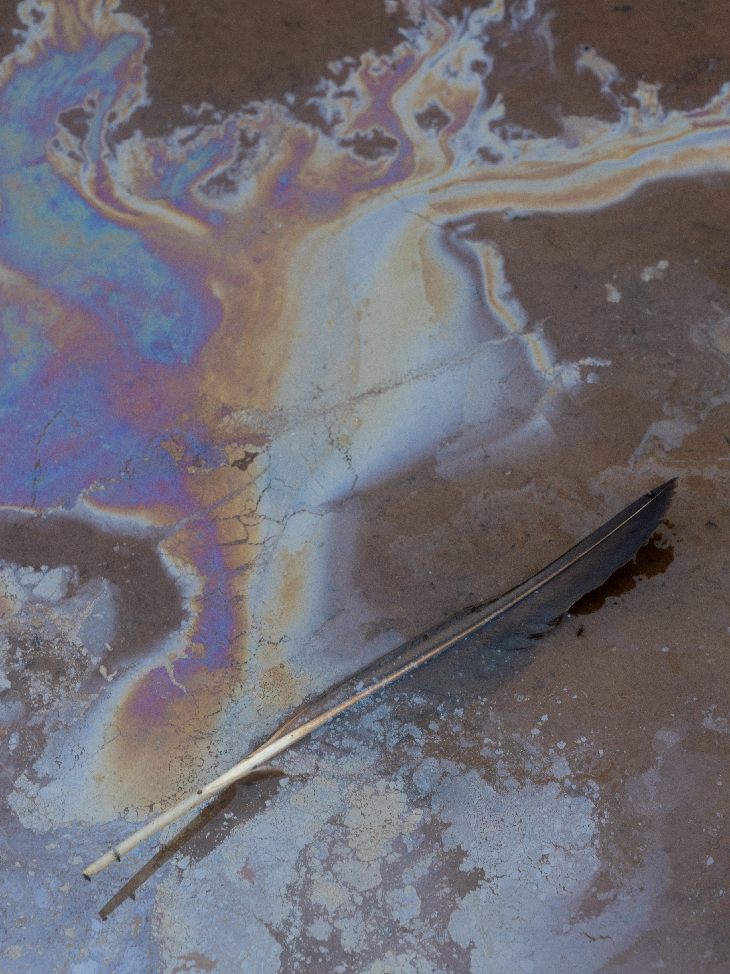 Фотографии. Ксения Доможилова