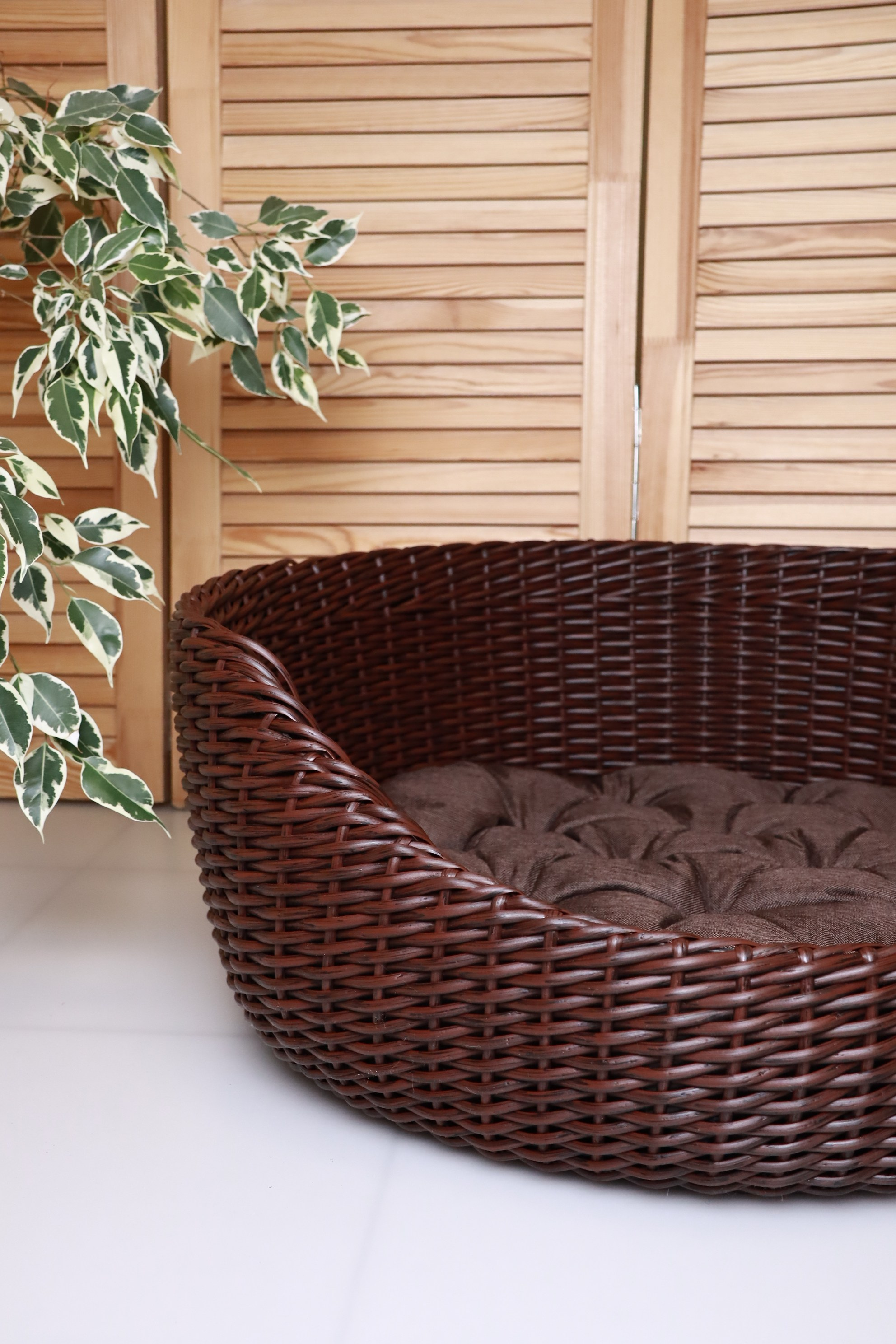 ПРЕДМЕТНАЯ съемка для рекламы. VSolo — ваш EVENT фотограф