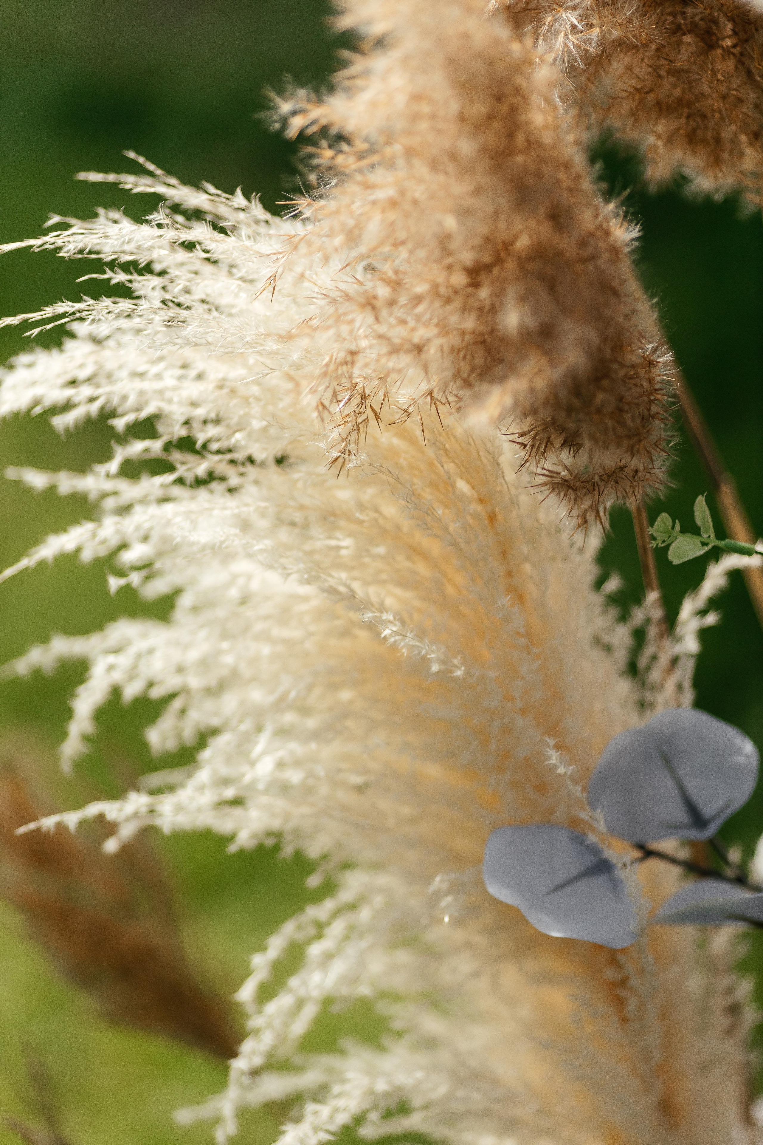 Екатерина и Артем. Свадебный и репортажный фотограф Евгений Петров