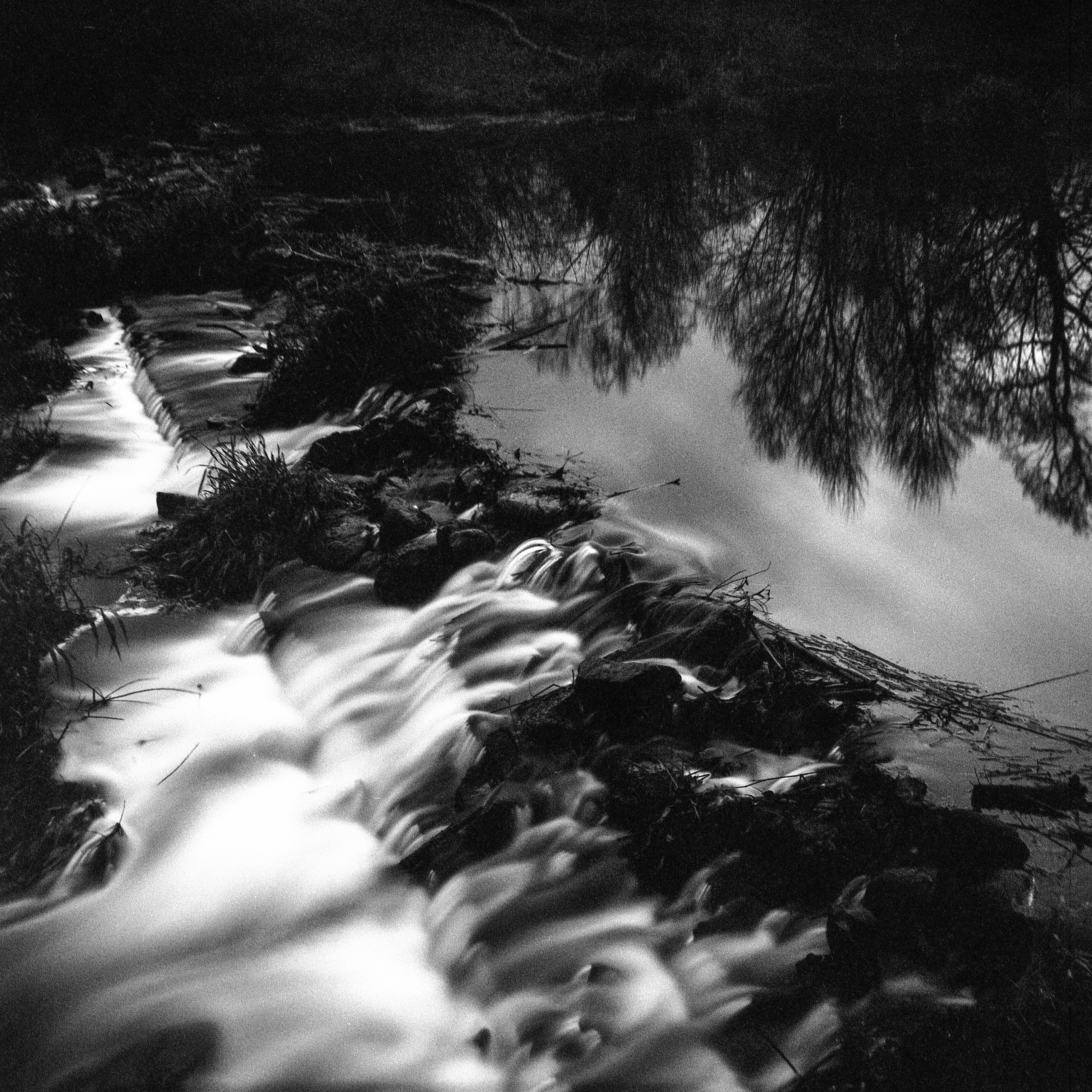 Автор: Серёжа Цюцюра