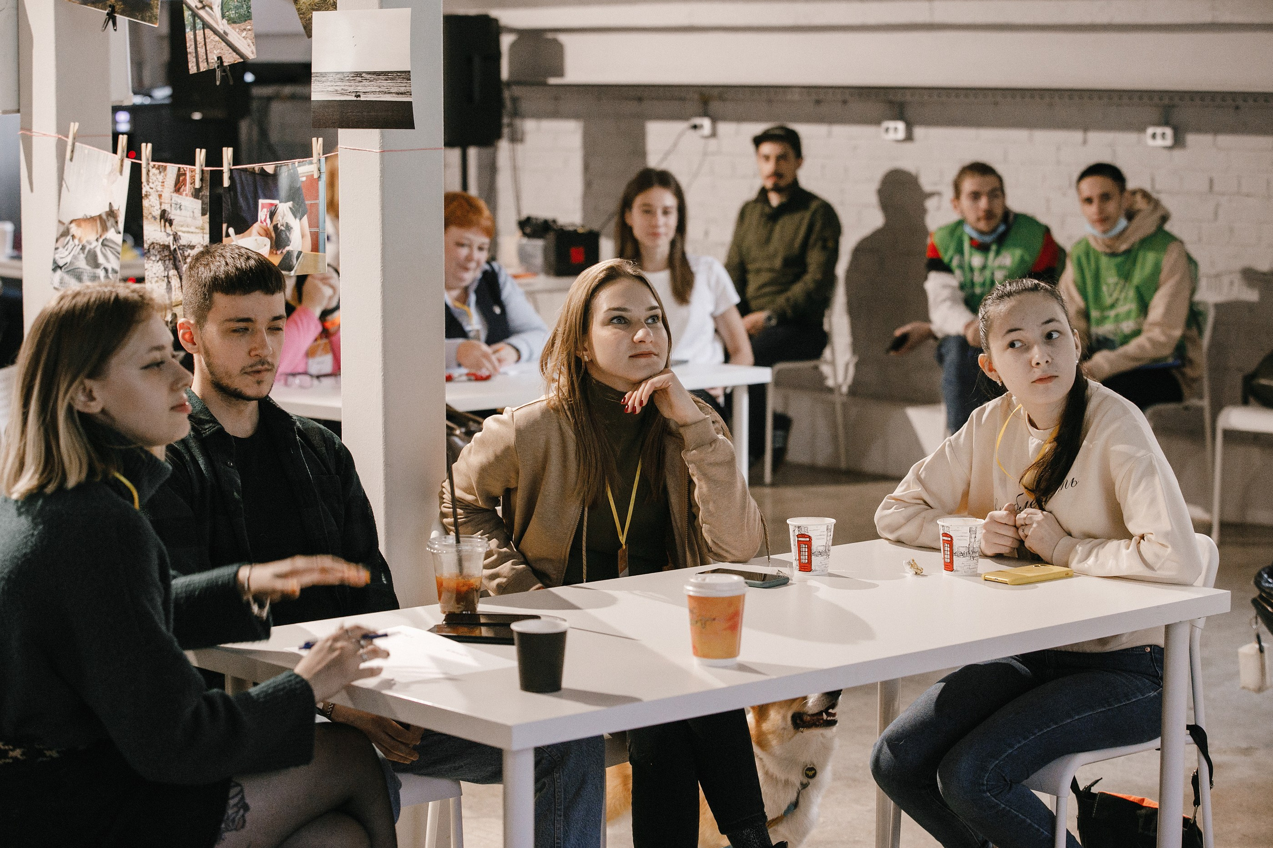 17.10.2021 // Дог-френдли день в Артплей. Фотовыставки serebro.gallery, в которых автором можешь стать ты! | Москва