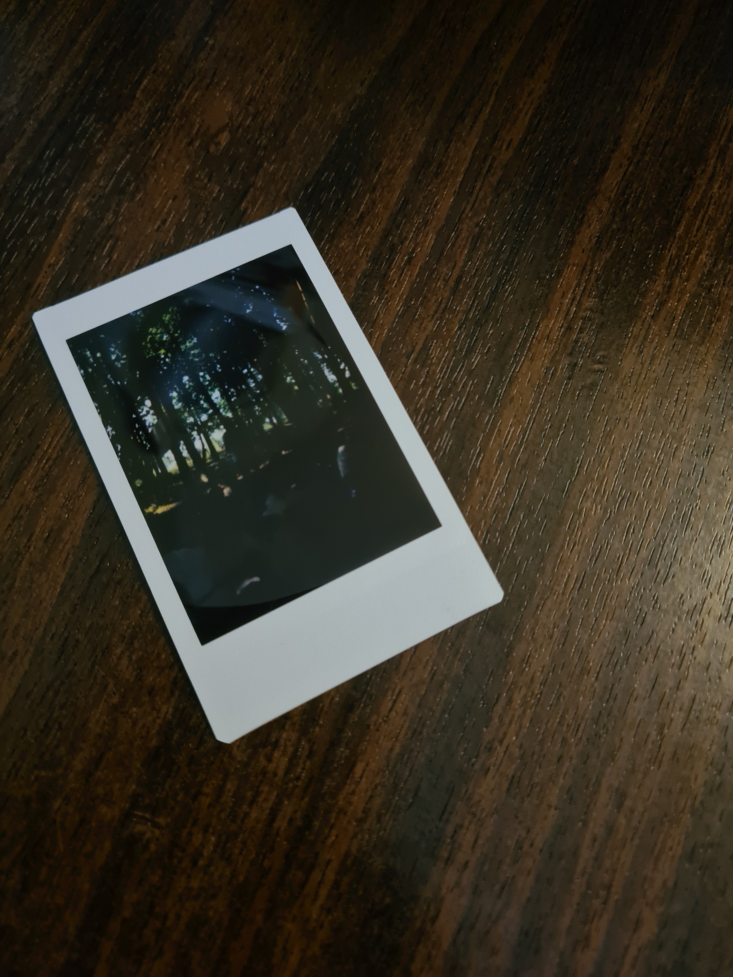 Автор: Анастасия Смирнова