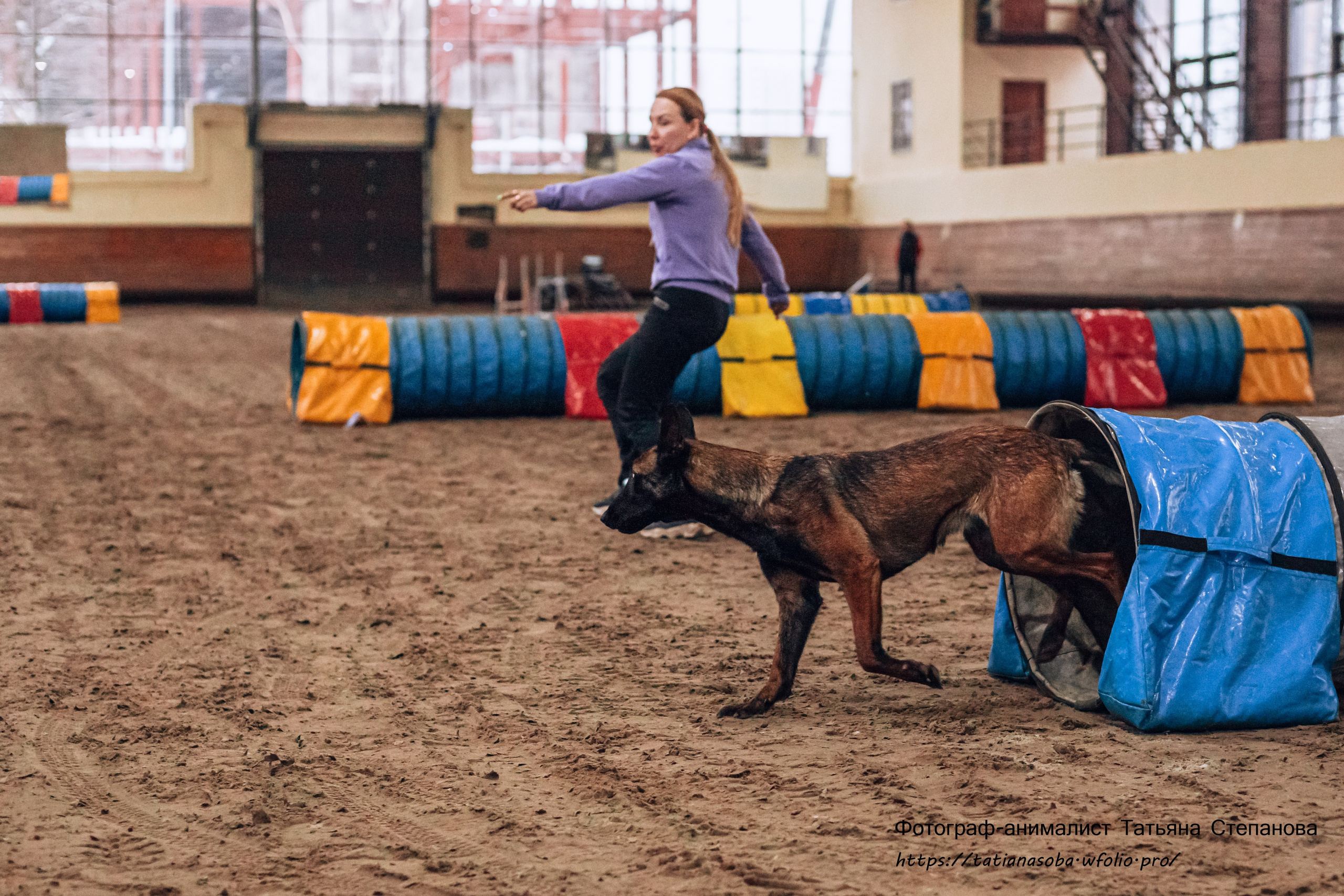 Соревнования по Аджилити 25.02.2024. Фотограф-анималист Татьяна Степанова