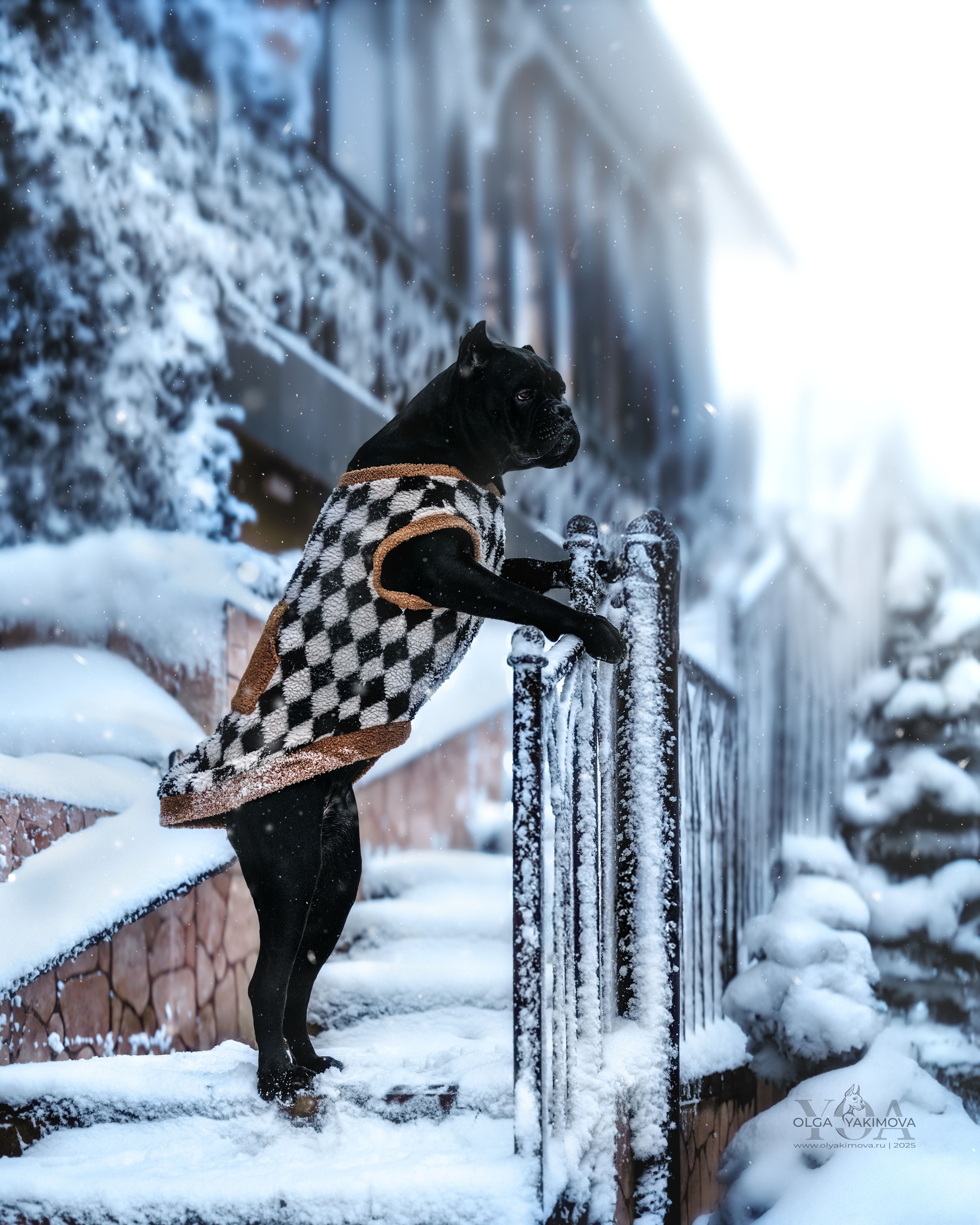 МАРИНА И САРА. Фотограф