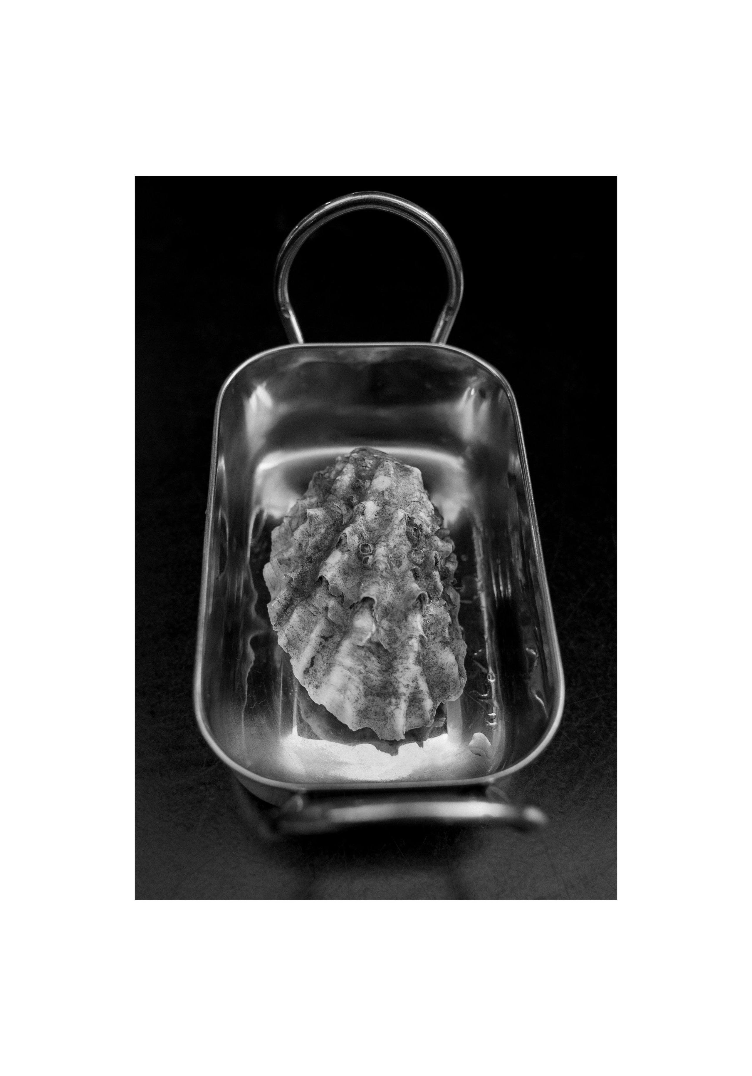 Art prints. Фотограф алина стерхова, алина стерхова фотограф, фотограф москва