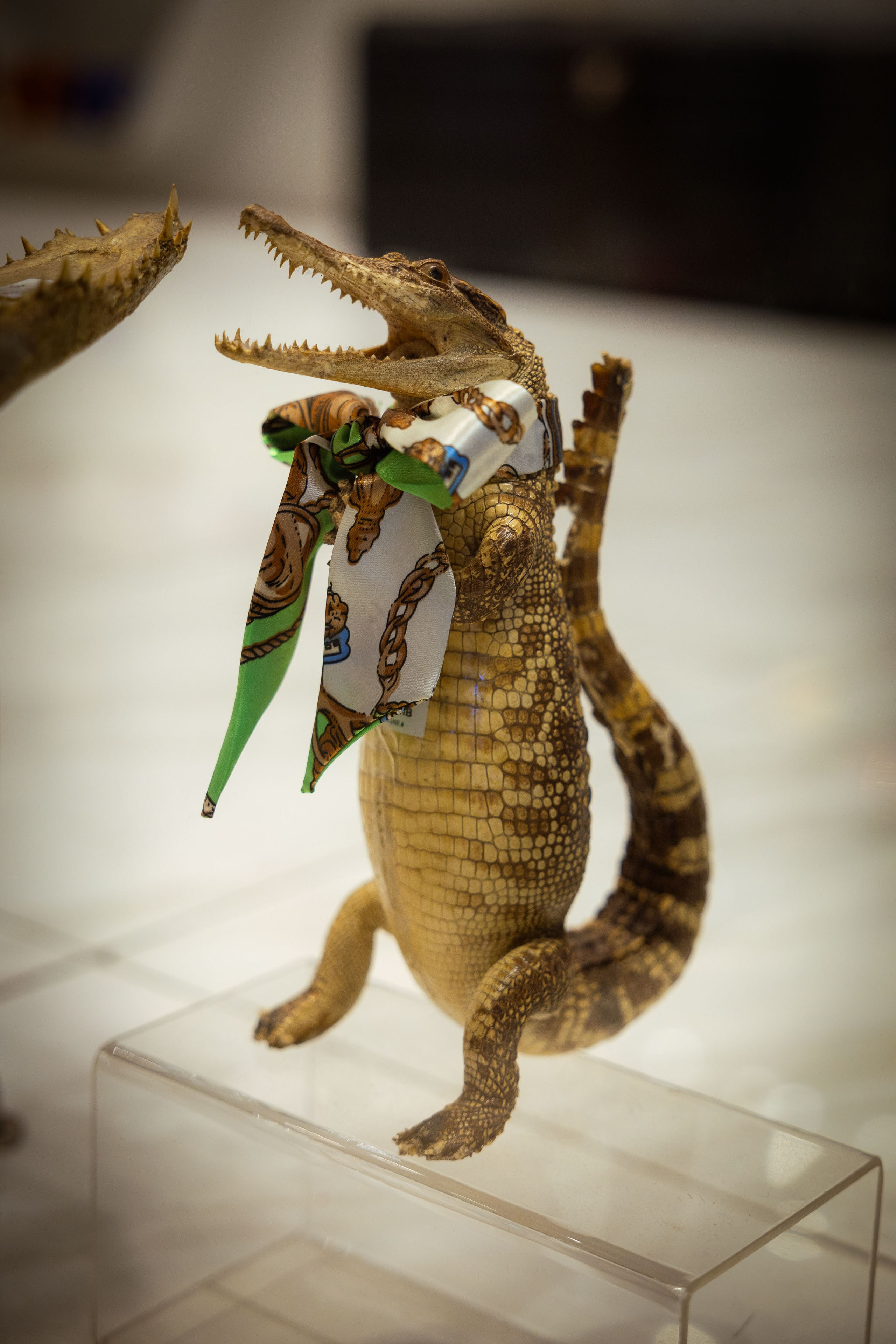 Таиланд (зима 2025). Фотограф Виноградов Константин