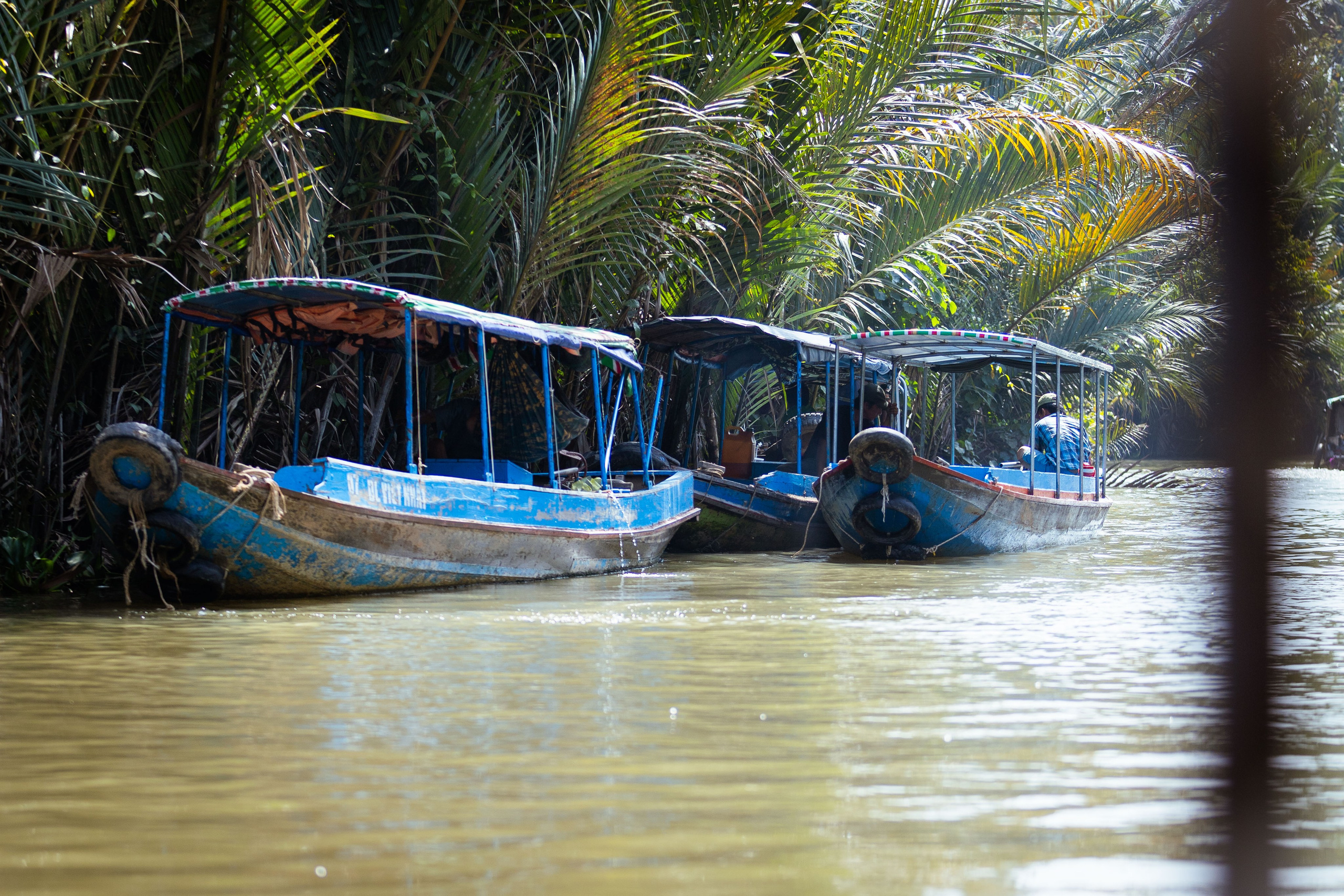 Вьетнам (зима 2025-2026). Фотограф Виноградов Константин