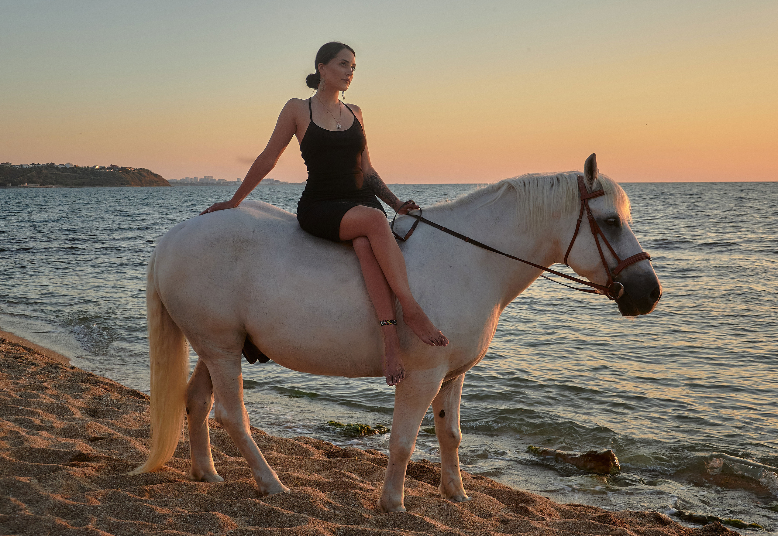 Фотосессии с лошадьми Севастополь Крым. Фотограф в Севастополе