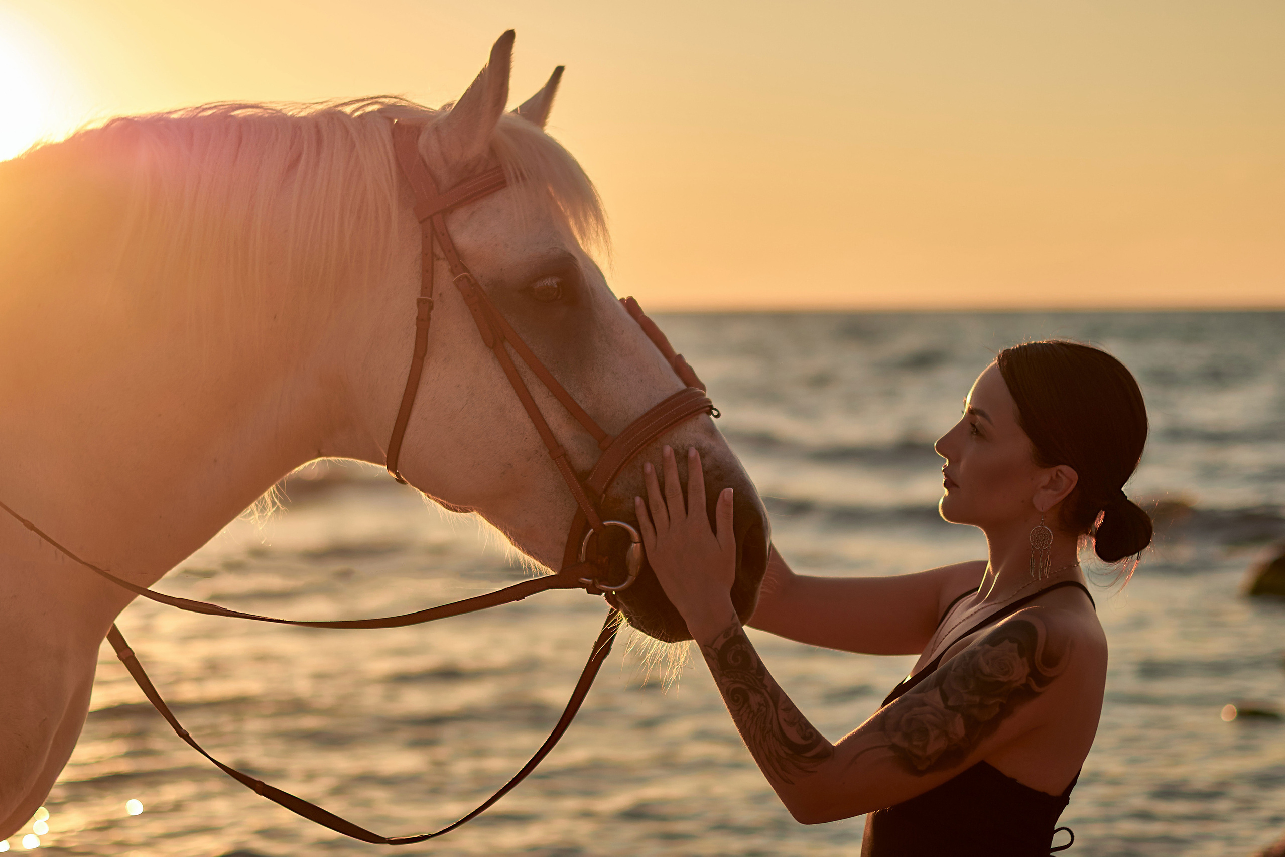 Фотосессии с лошадьми Севастополь Крым. Фотограф в Севастополе