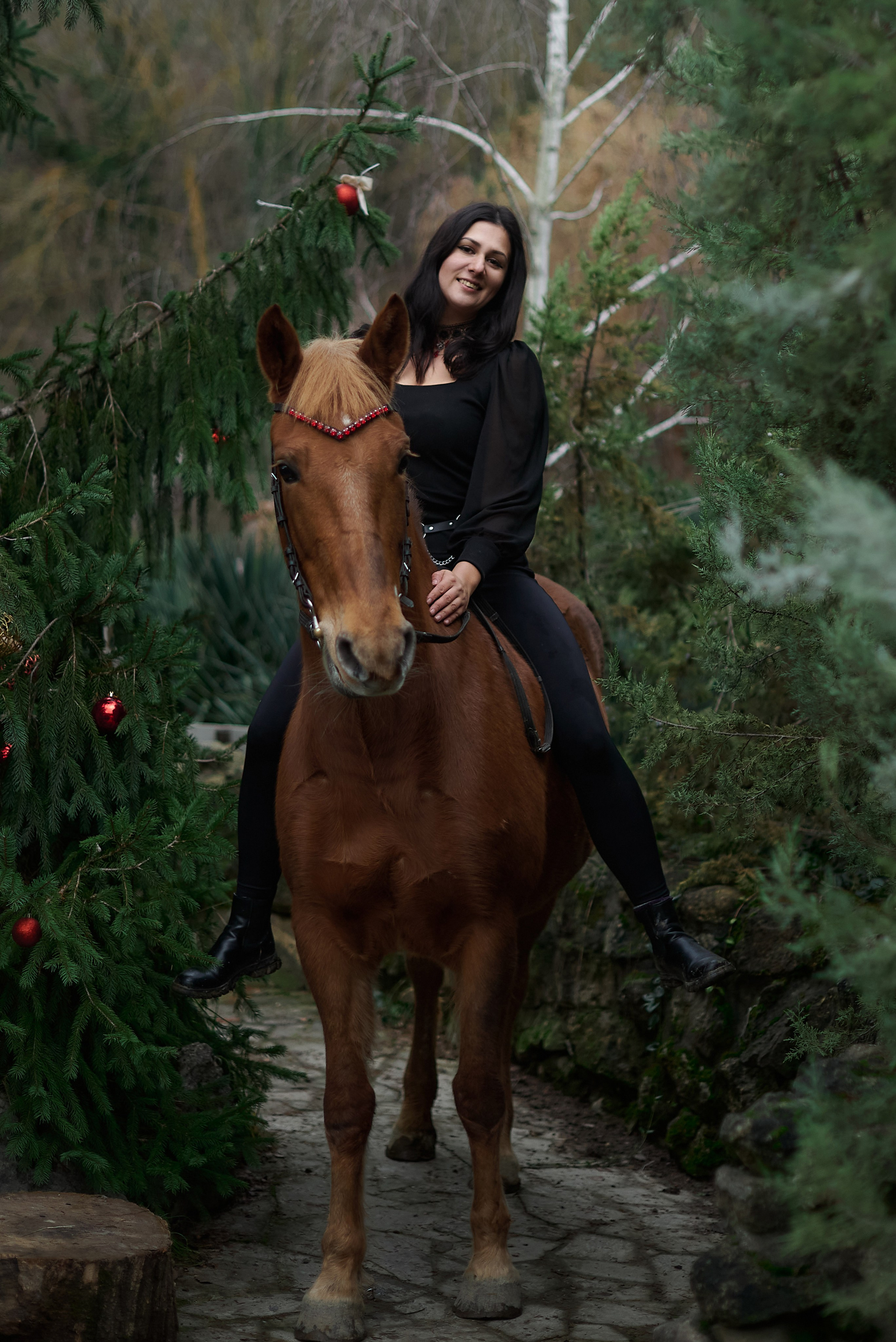 Диана, Гром и Мандаринка. Фотограф в Севастополе