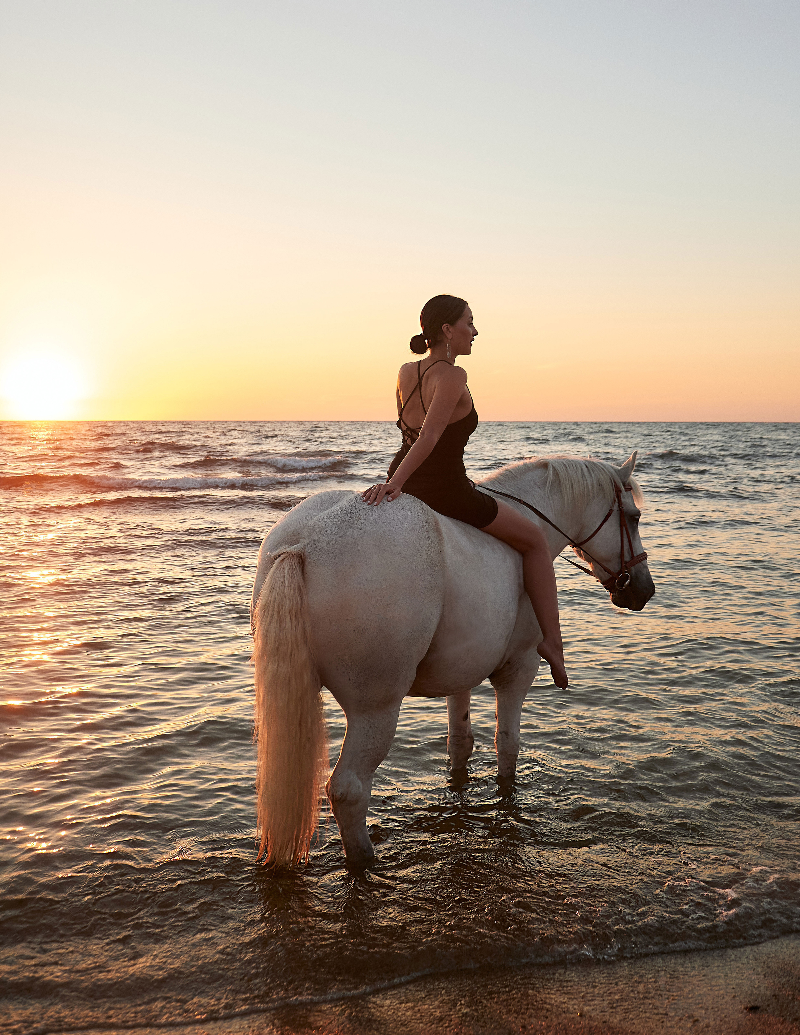 Фотосессии с лошадьми Севастополь Крым. Фотограф в Севастополе