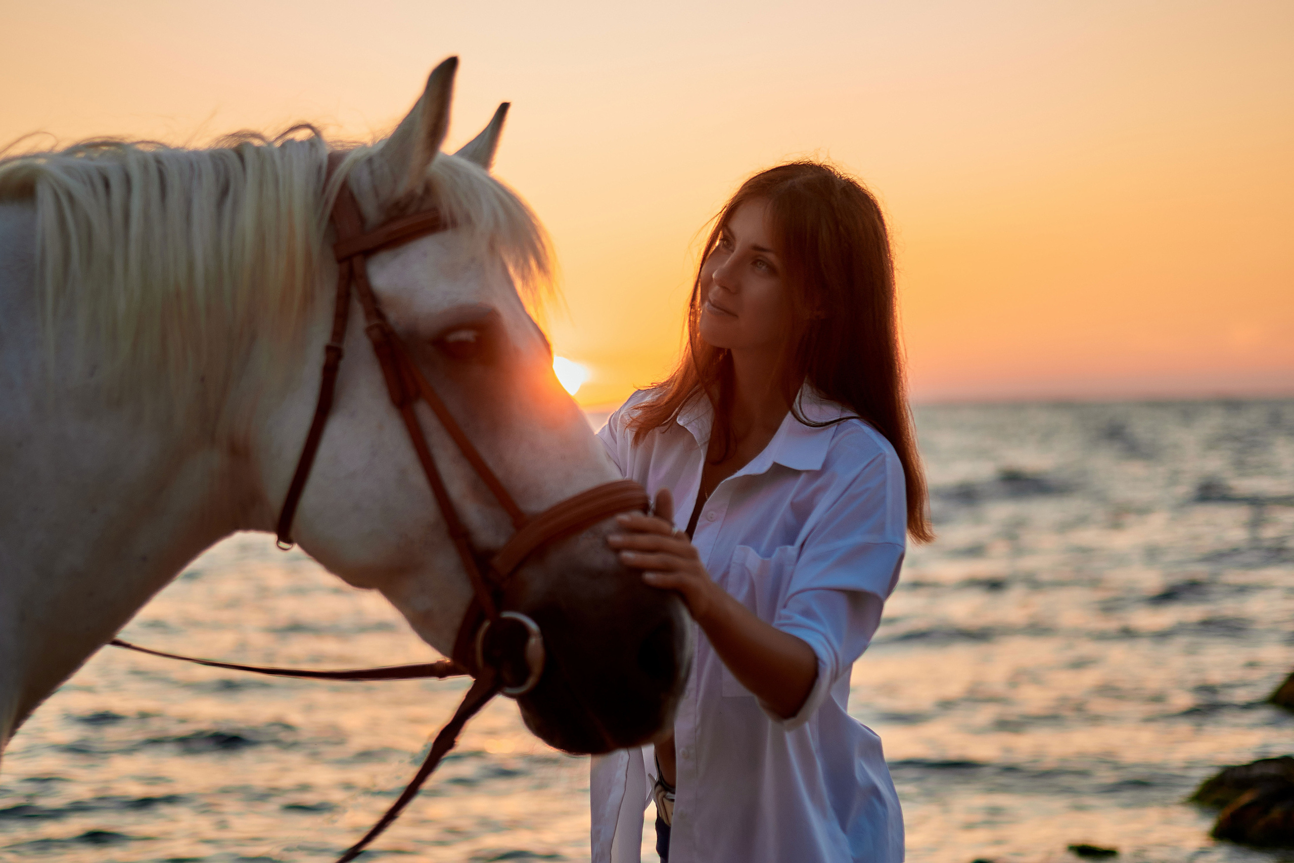 Фотосессия с лошадью Севастополь Крым. Фотограф в Севастополе