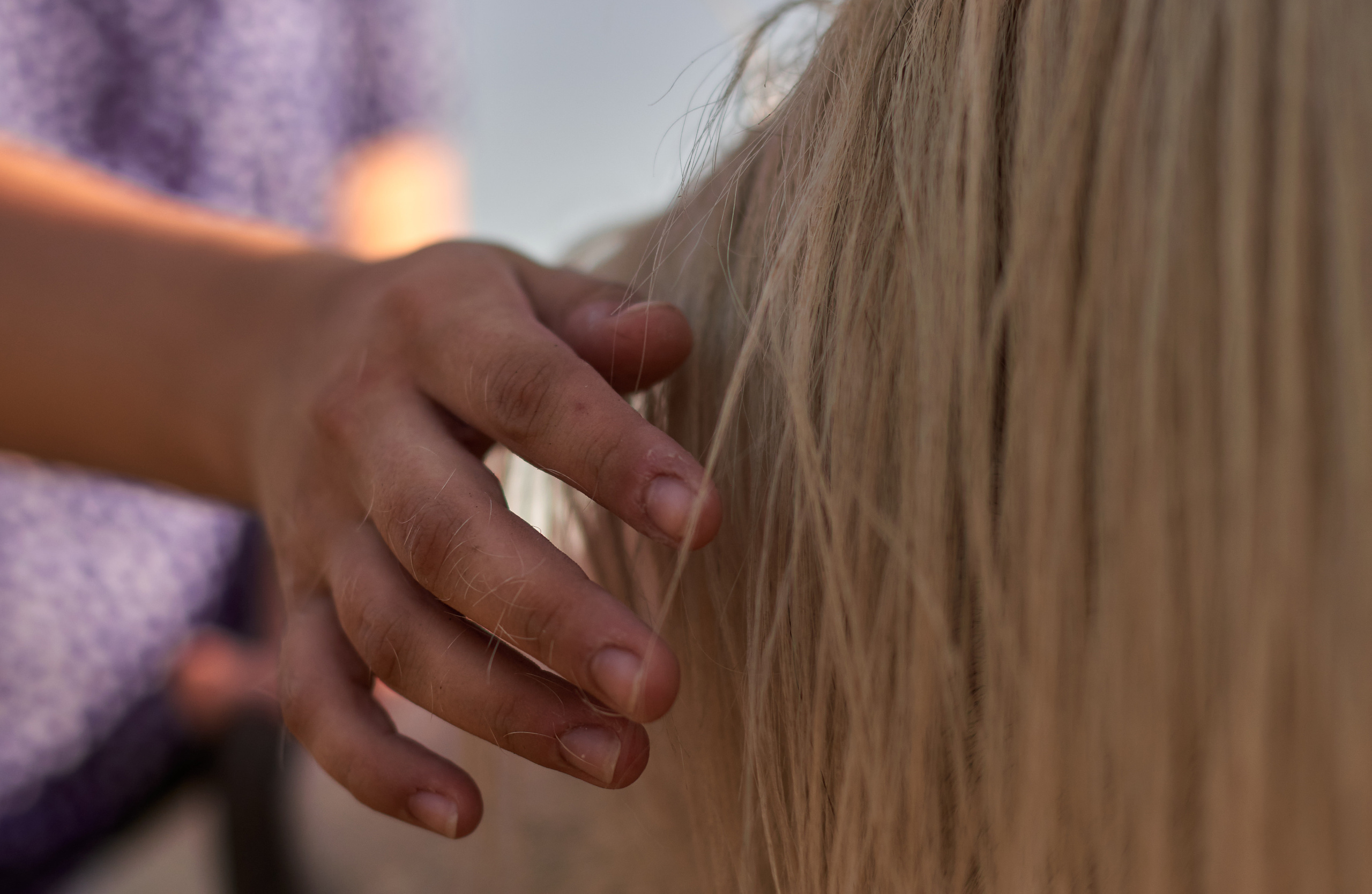 Фотосессия с лошадью Севастополь. Фотограф в Севастополе