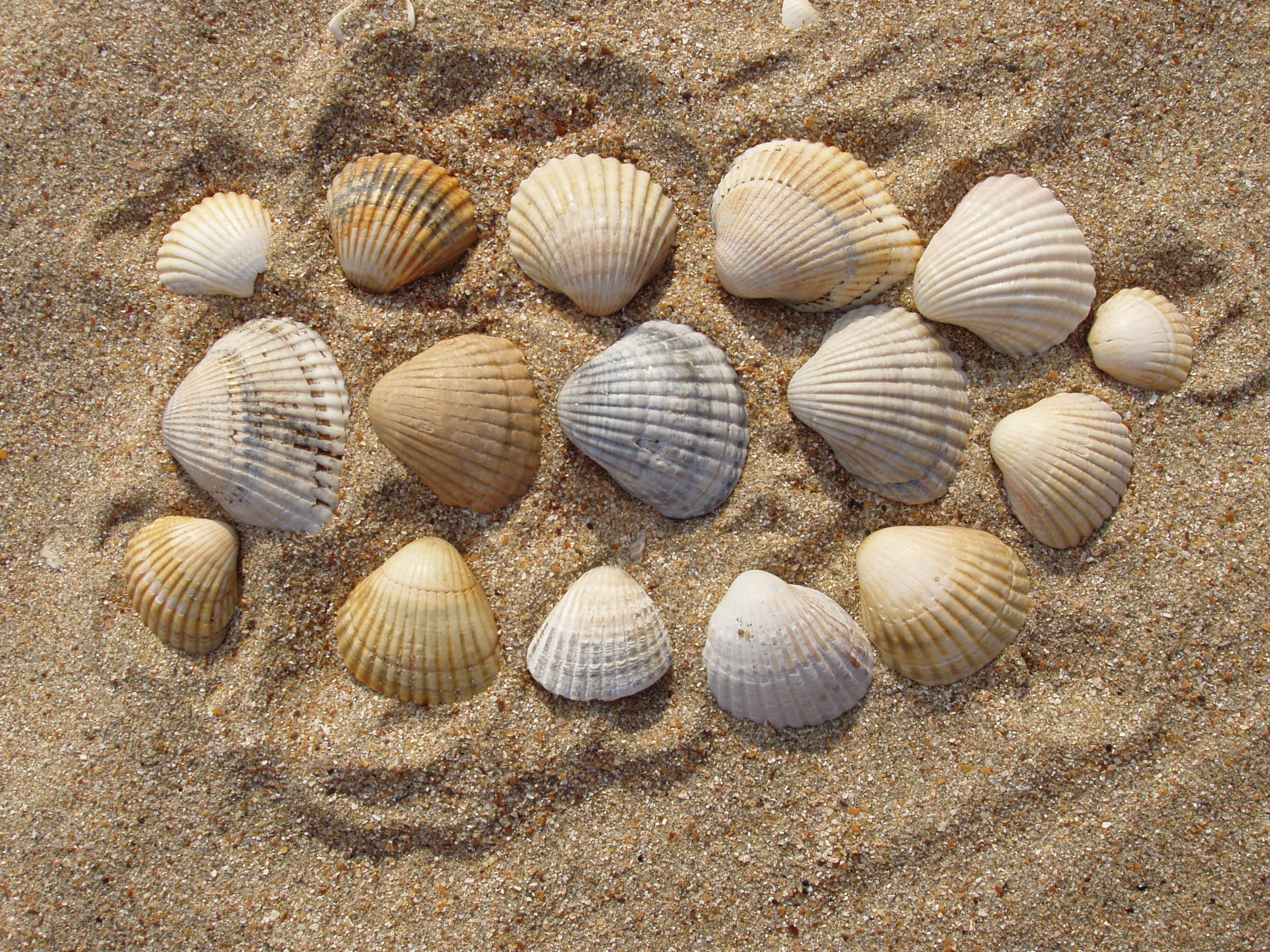 Отпуск 13.07-24.08. Семейный, Свадебный фотограф СПБ Питер— Романова Екатерина