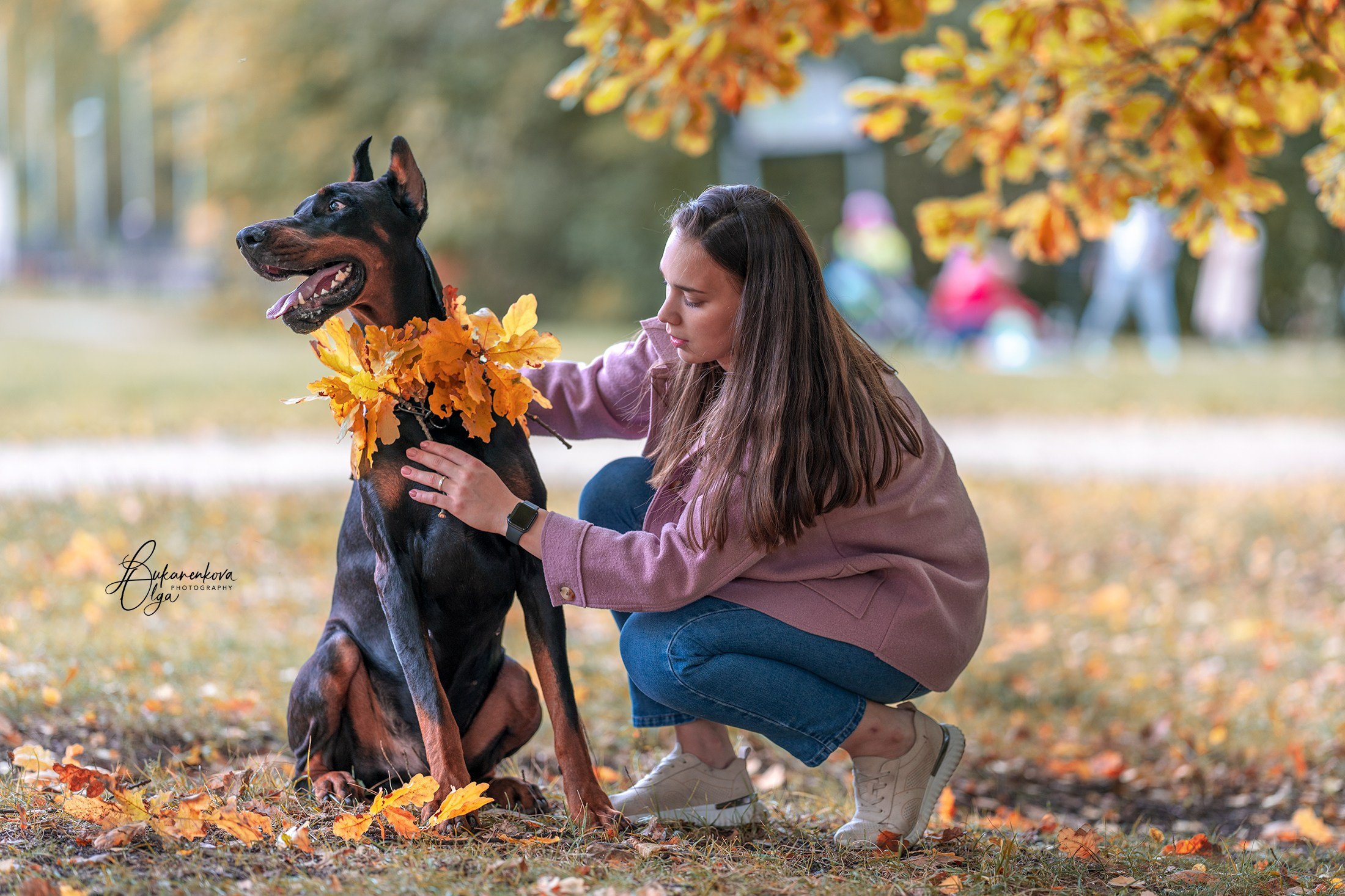 Осенняя рапсодия. Фотограф анималист Ольга Луканенкова в Москве