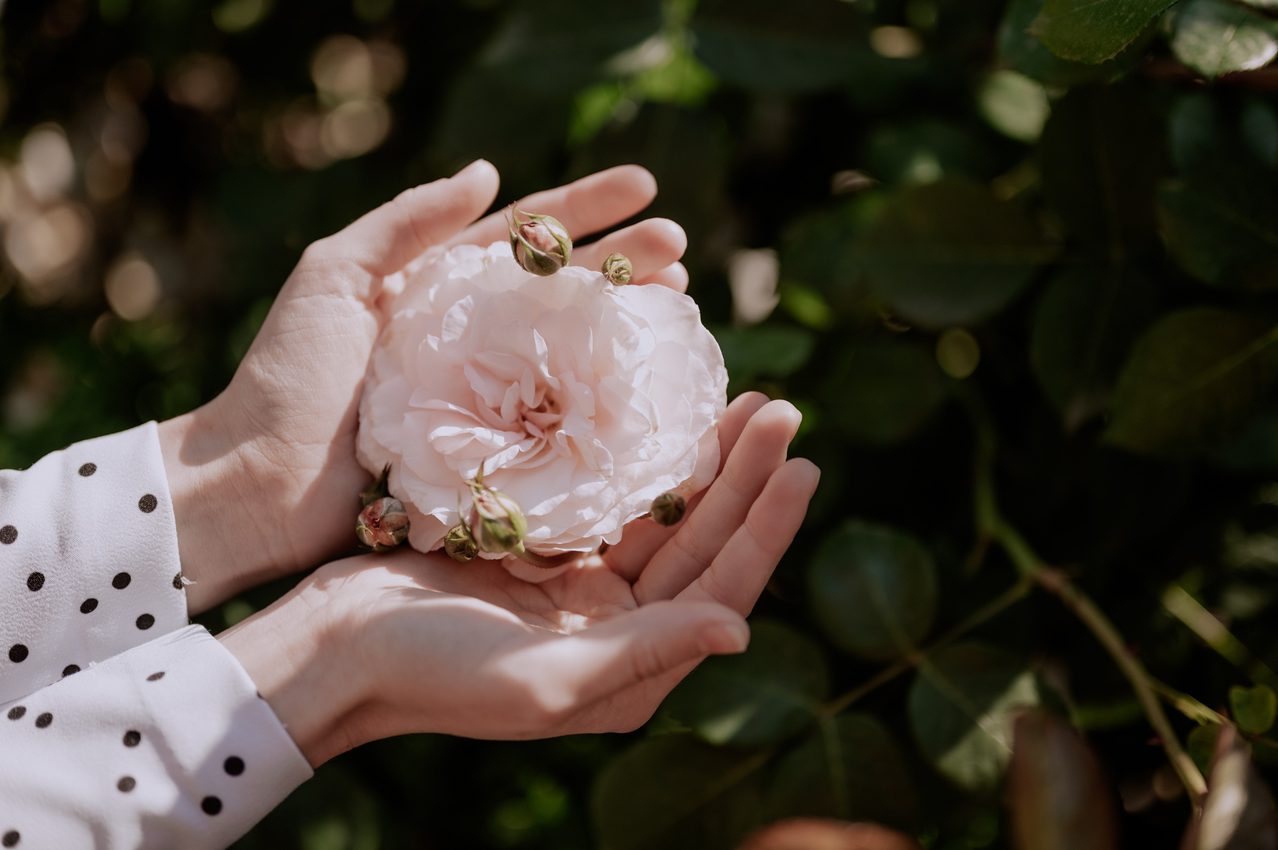 Таня. Фотограф Сочи Кисматова Анастасия