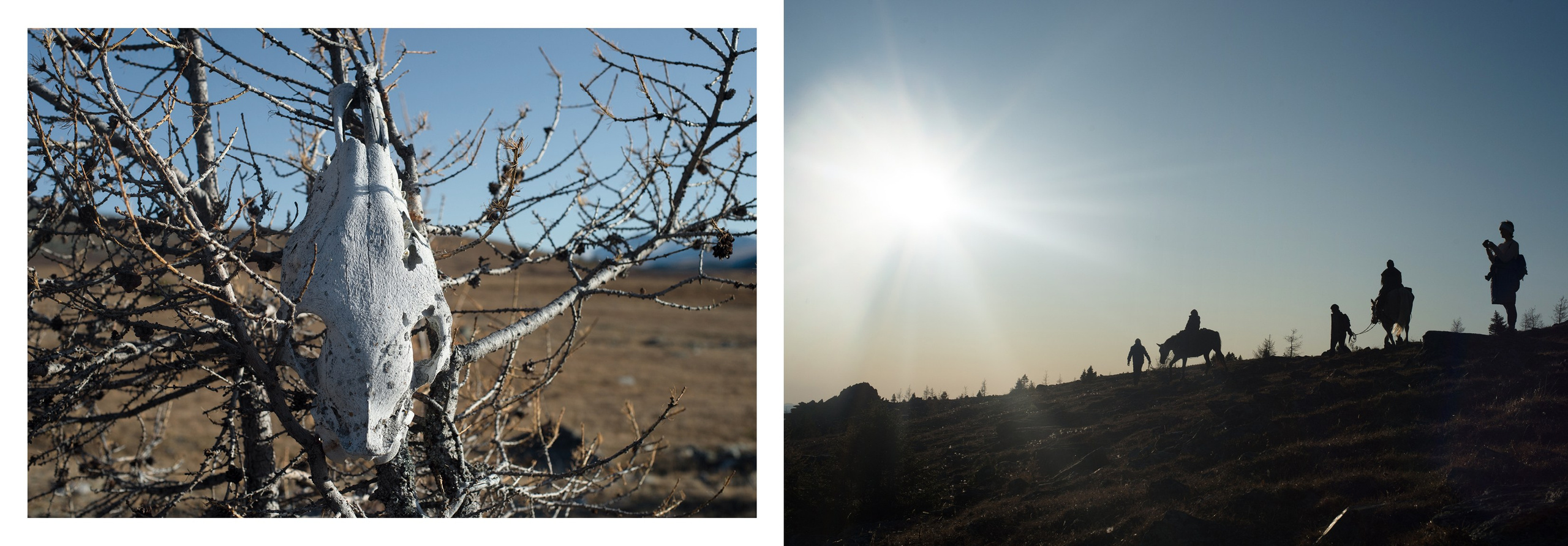 Алтай для Юли. Фотограф Алиса Калинина
