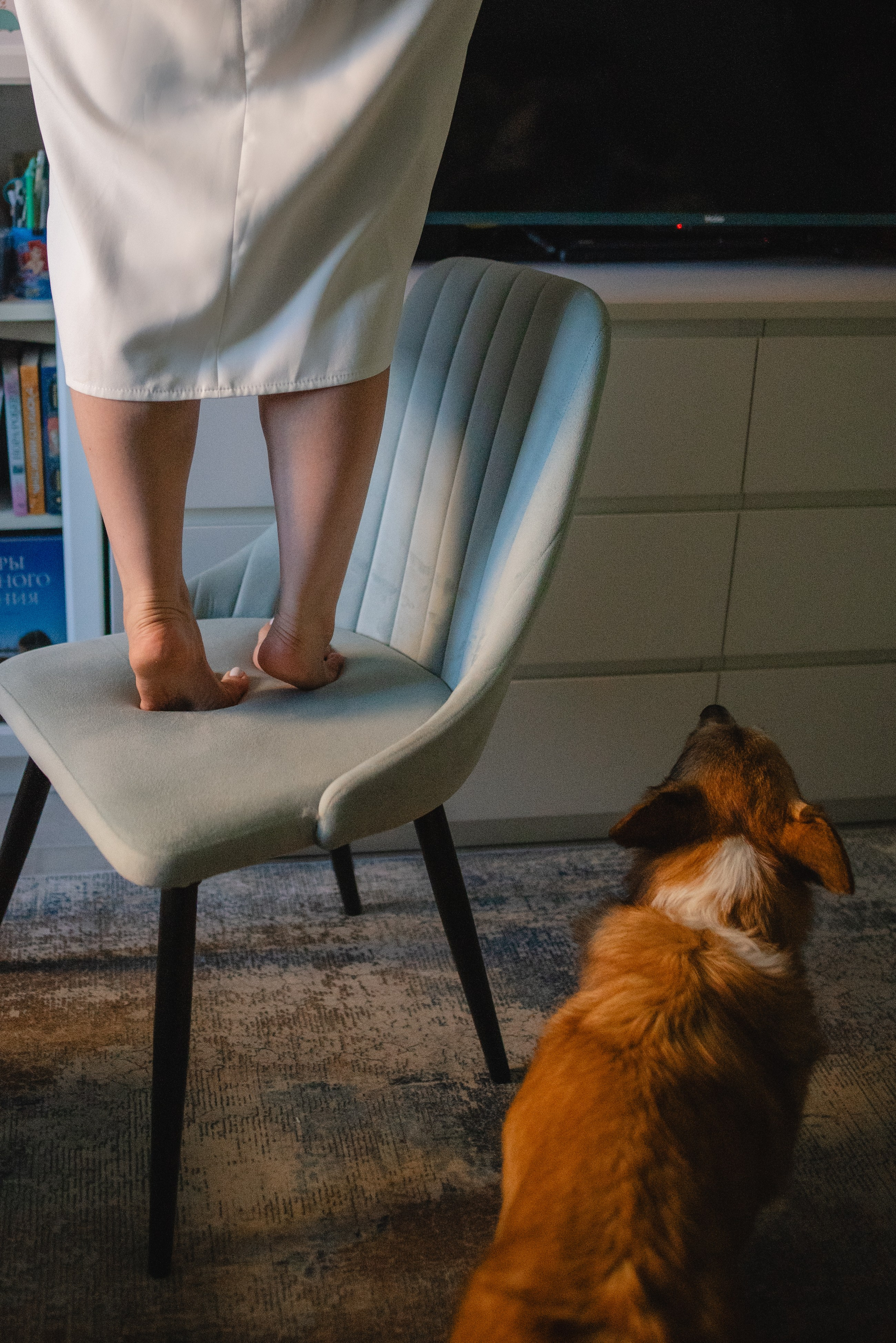 Александра. Семейный и детский фотограф в Санкт-Петербурге Татьяна Дмитренко