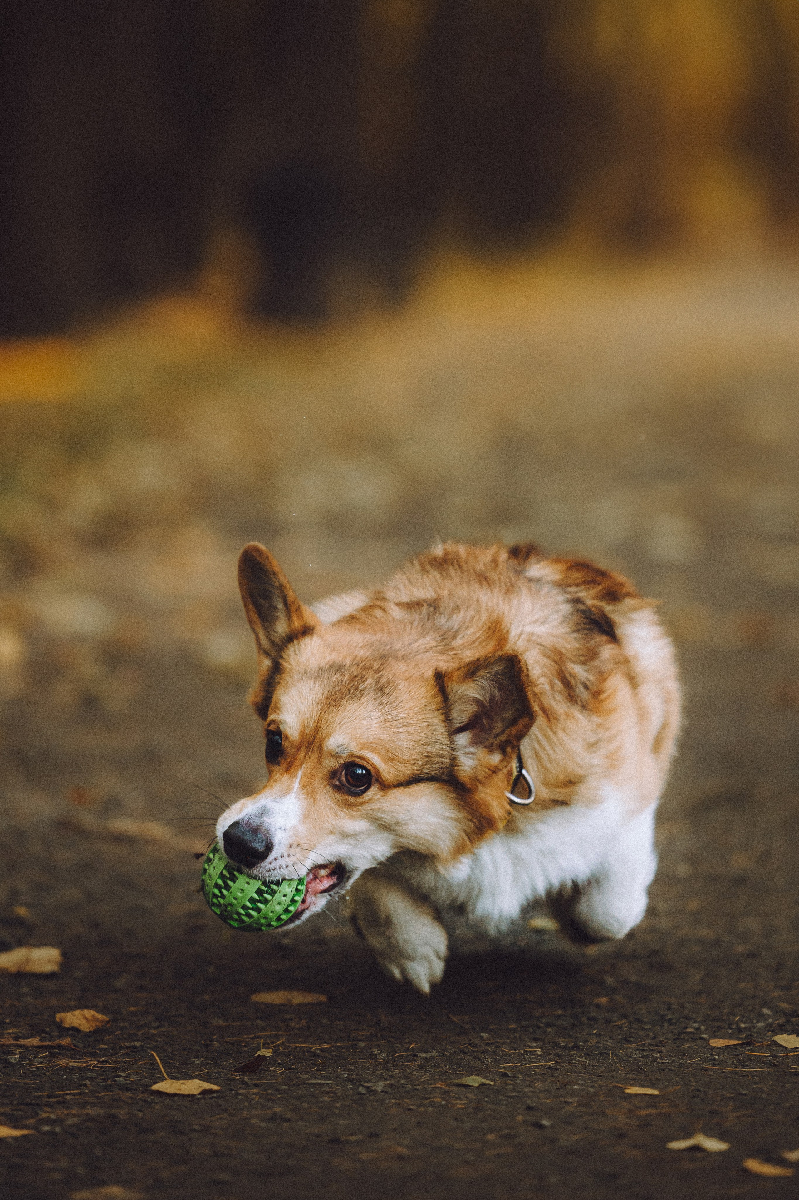 Карина, Даня и Аркаша