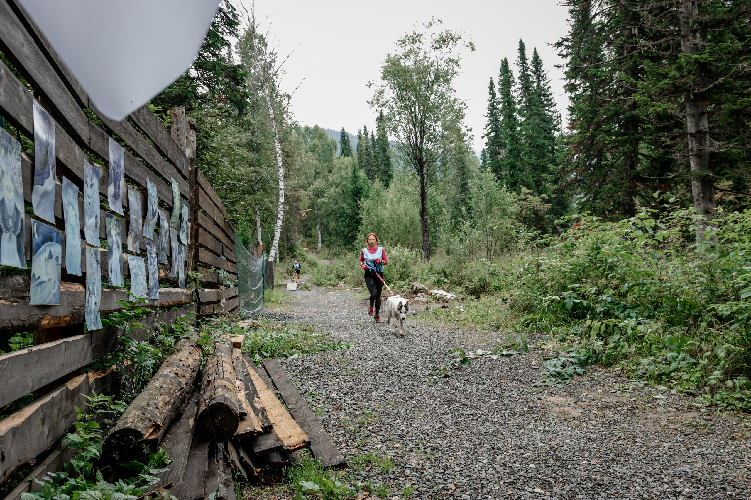 Дог-треккинг