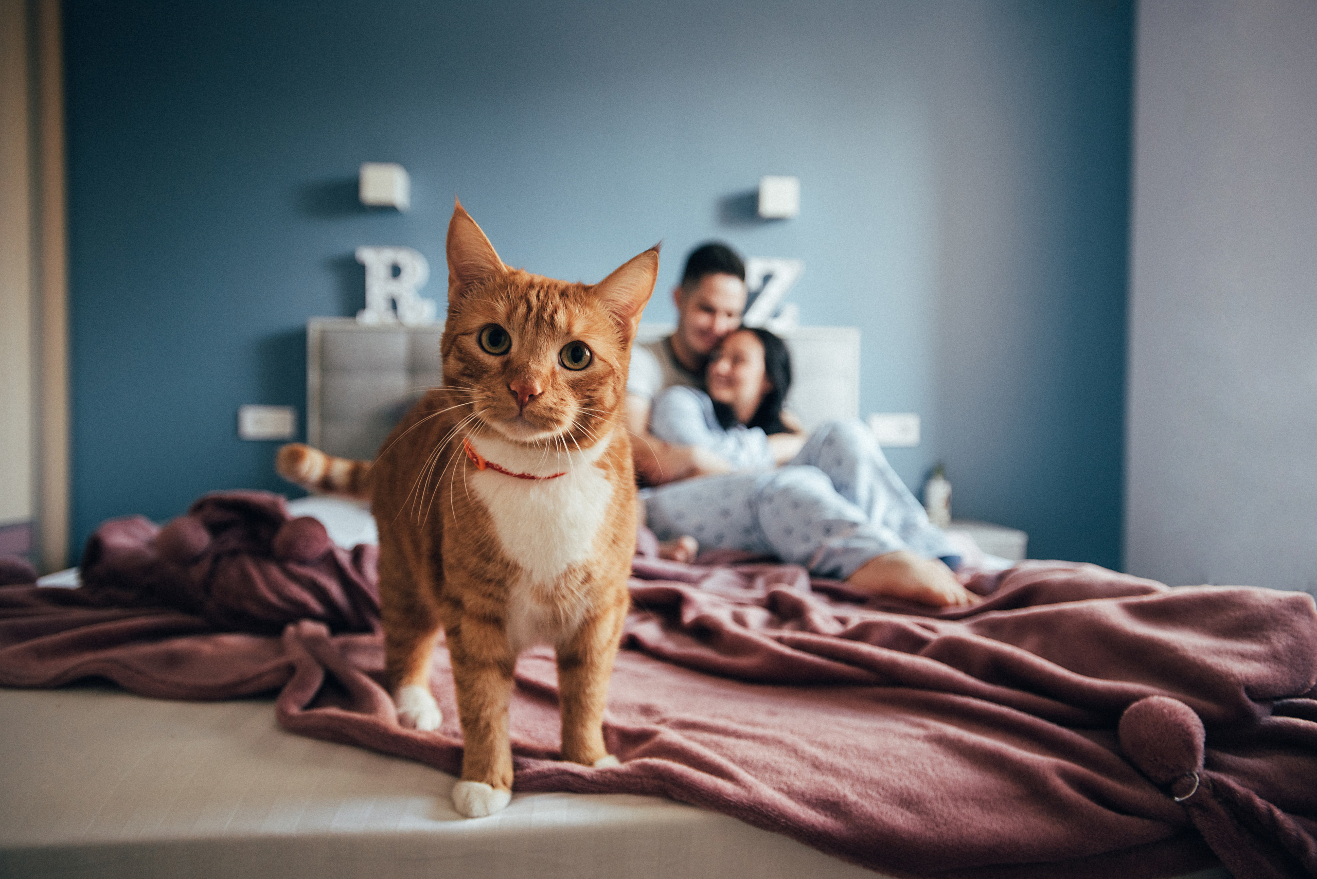 Рома Злата. Фотограф Милка Татьяна