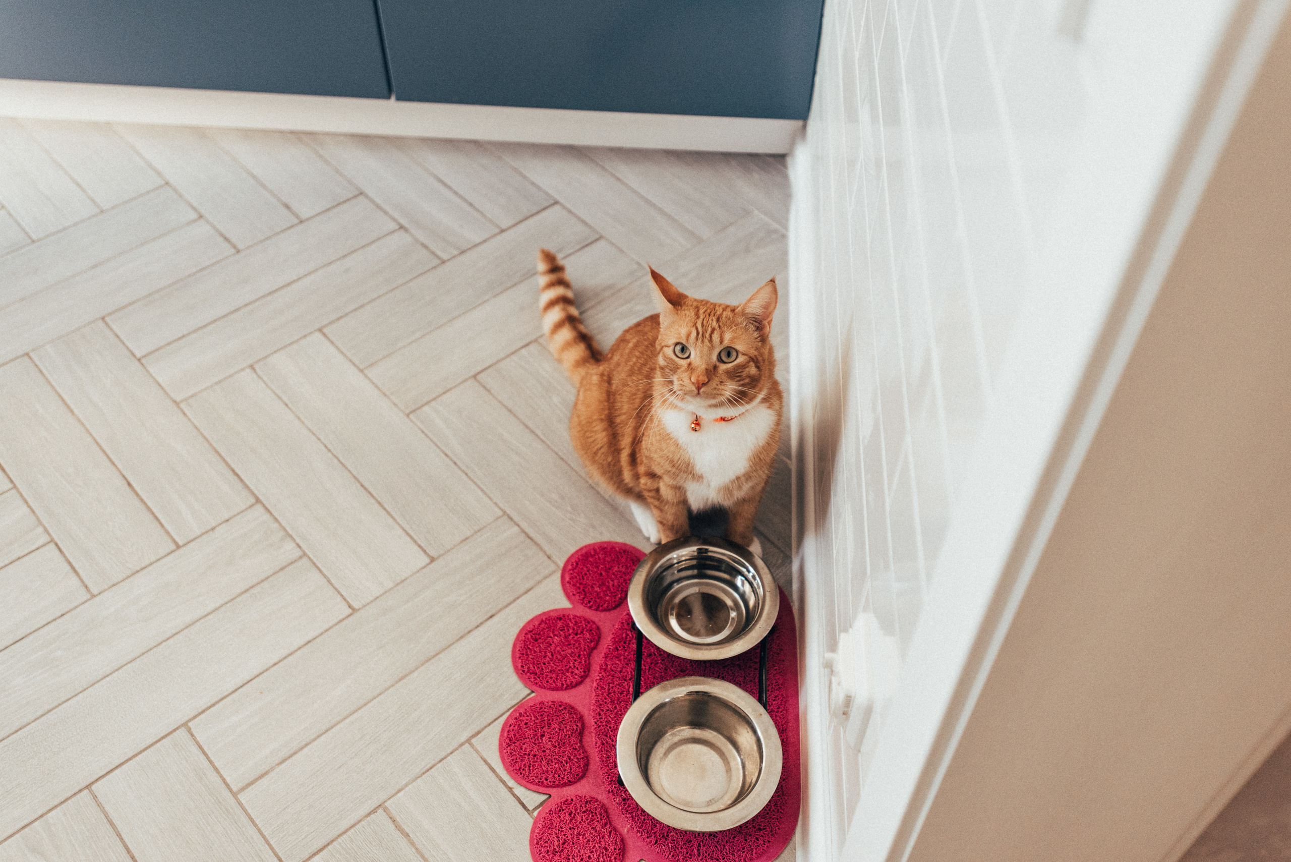 Рома Злата. Фотограф Милка Татьяна