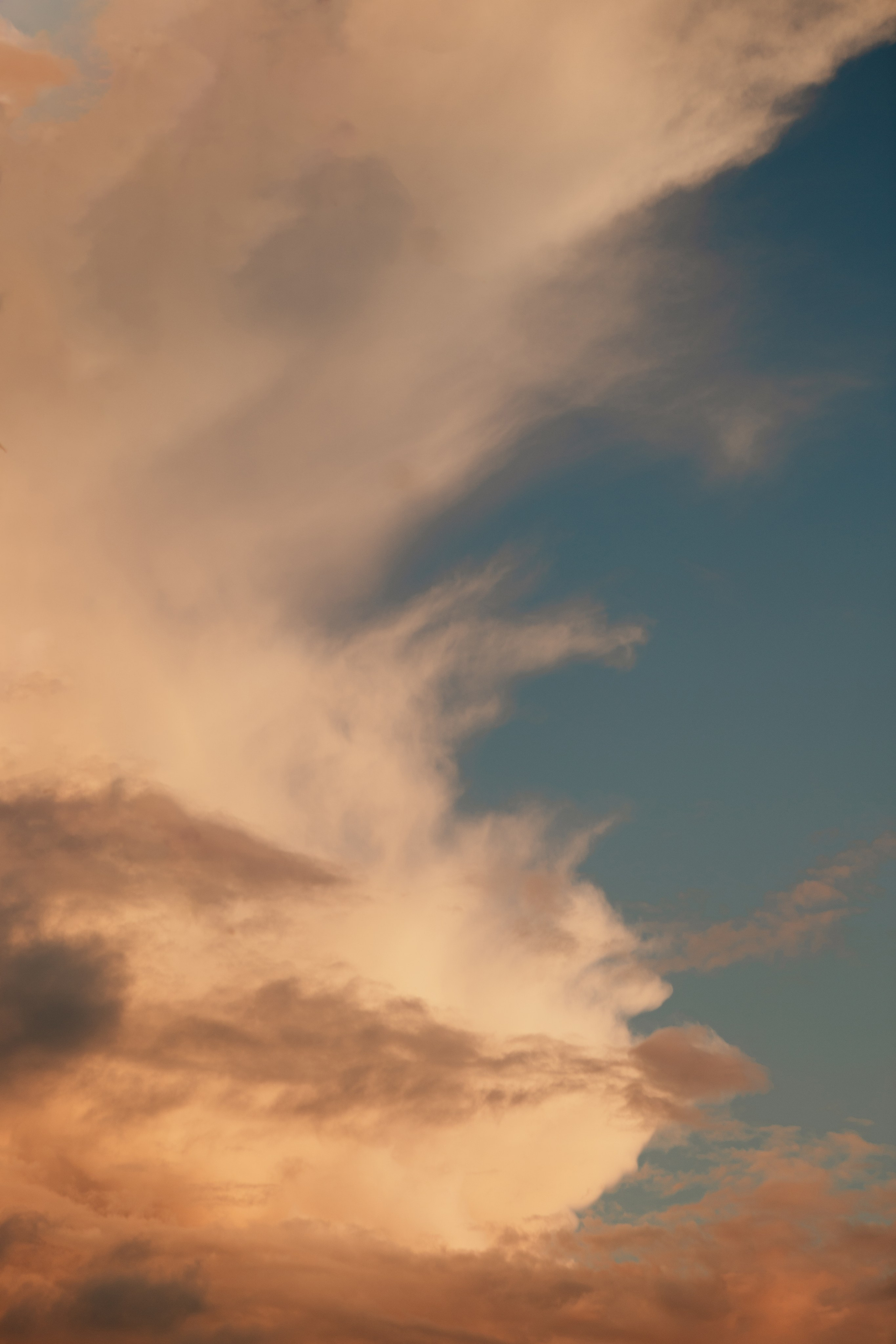 Свадьба Владислава и Елены. Фотограф Кольчугино/Владимир/Москва Елизавета Иода