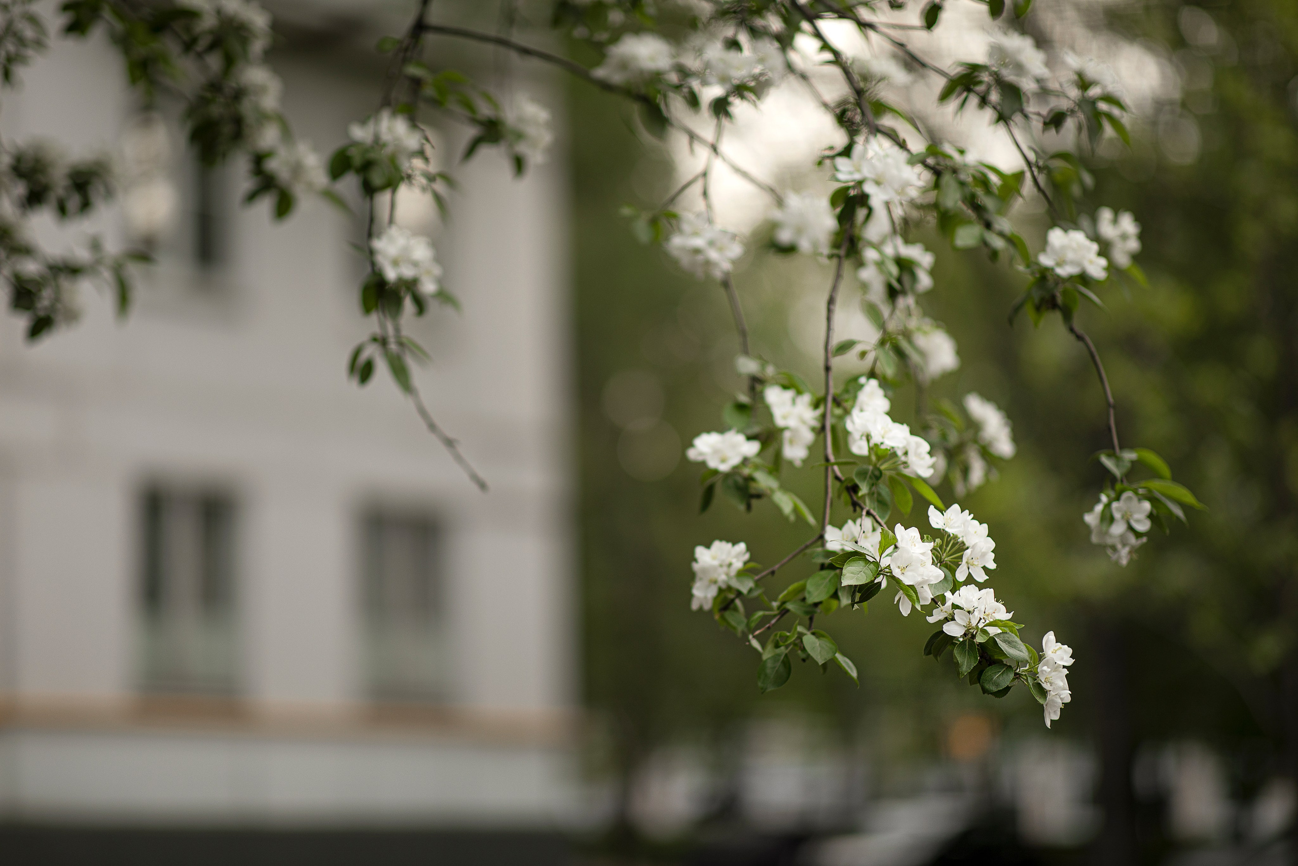 Весна. Спортивный фотограф в Москве