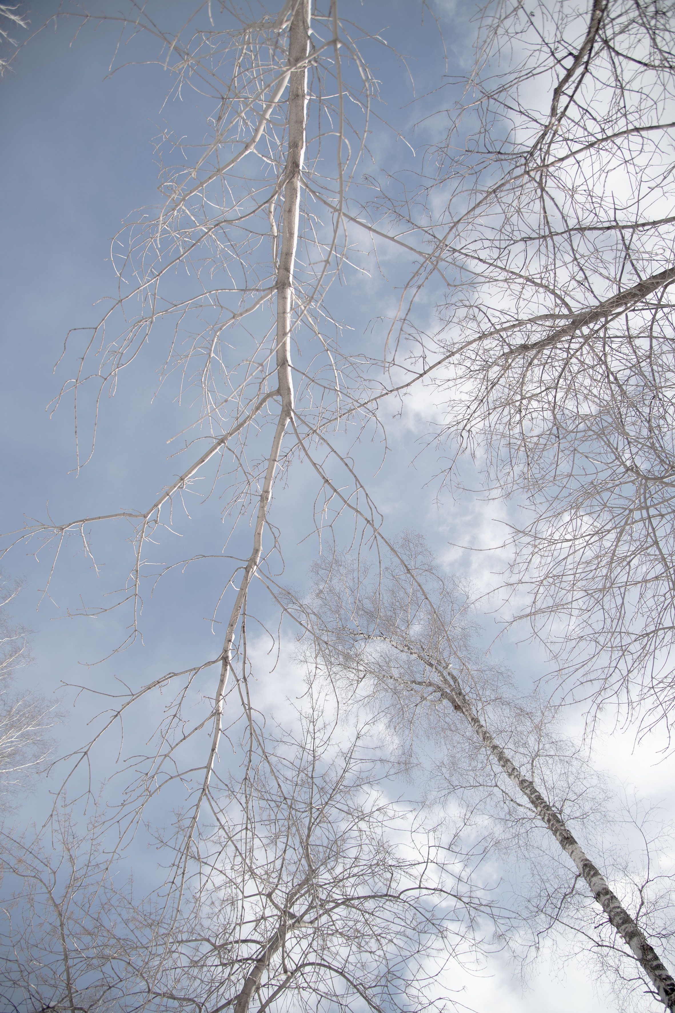 Природа. Александра Панина фотограф, портрет, семья, бизнес, Новосибирск